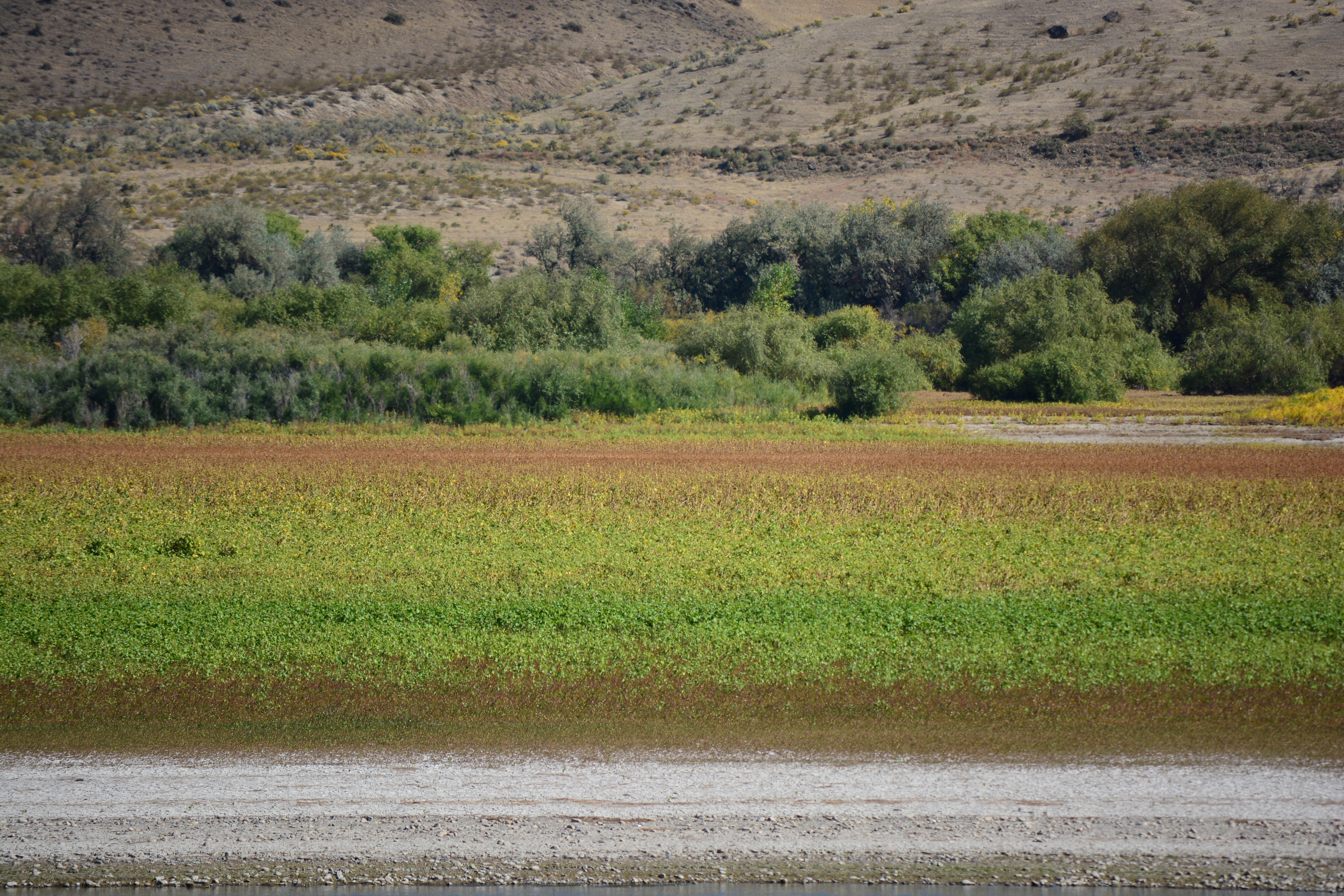 Farewell Bend State Recreation Area