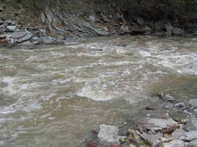 Caesar Creek Camp Loops A, B, C