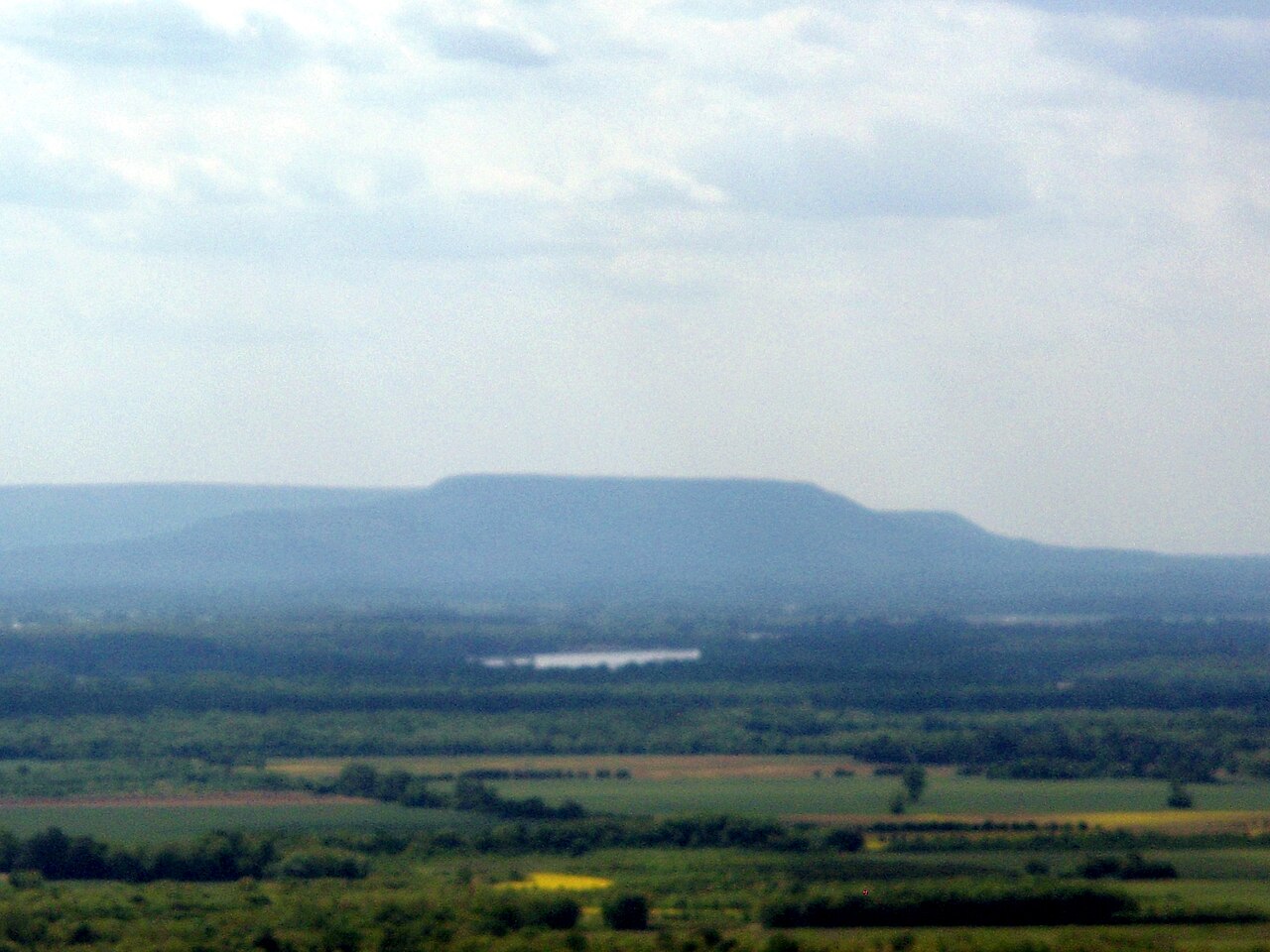 Wikimedia Commons
