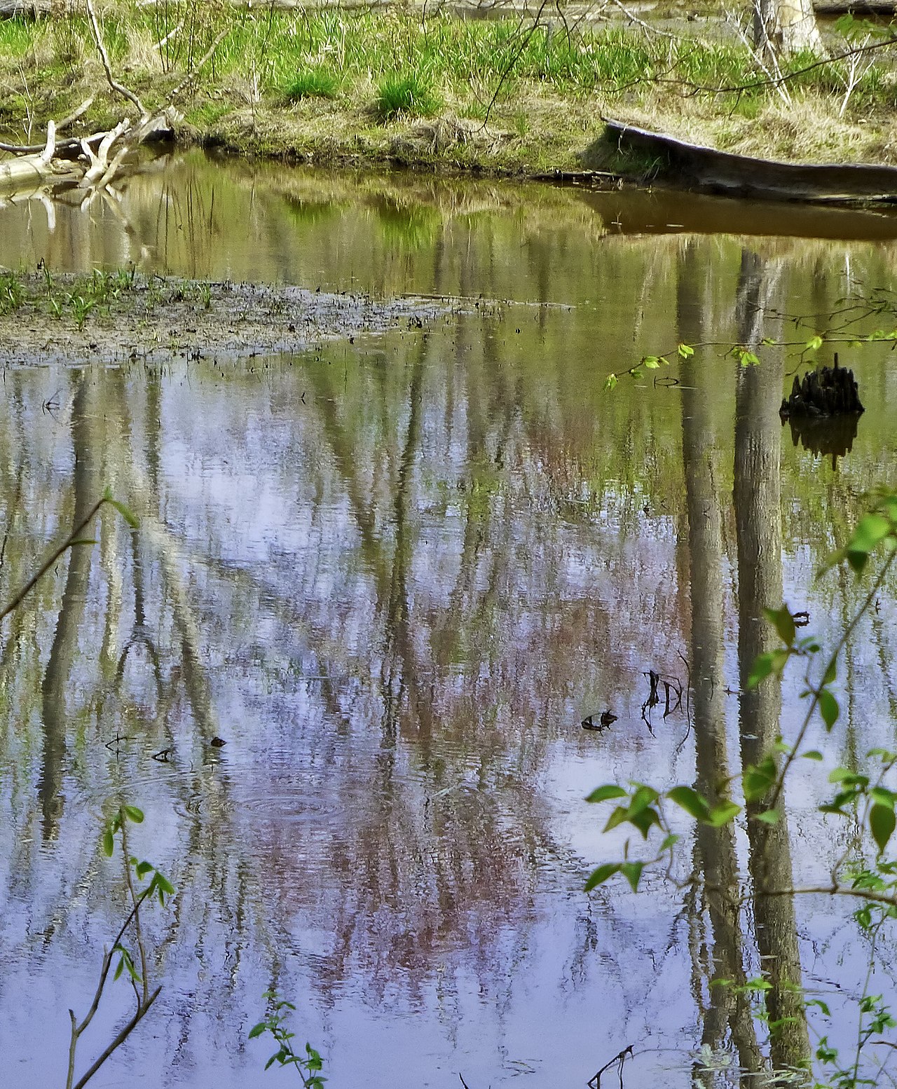 Smallwood State Park