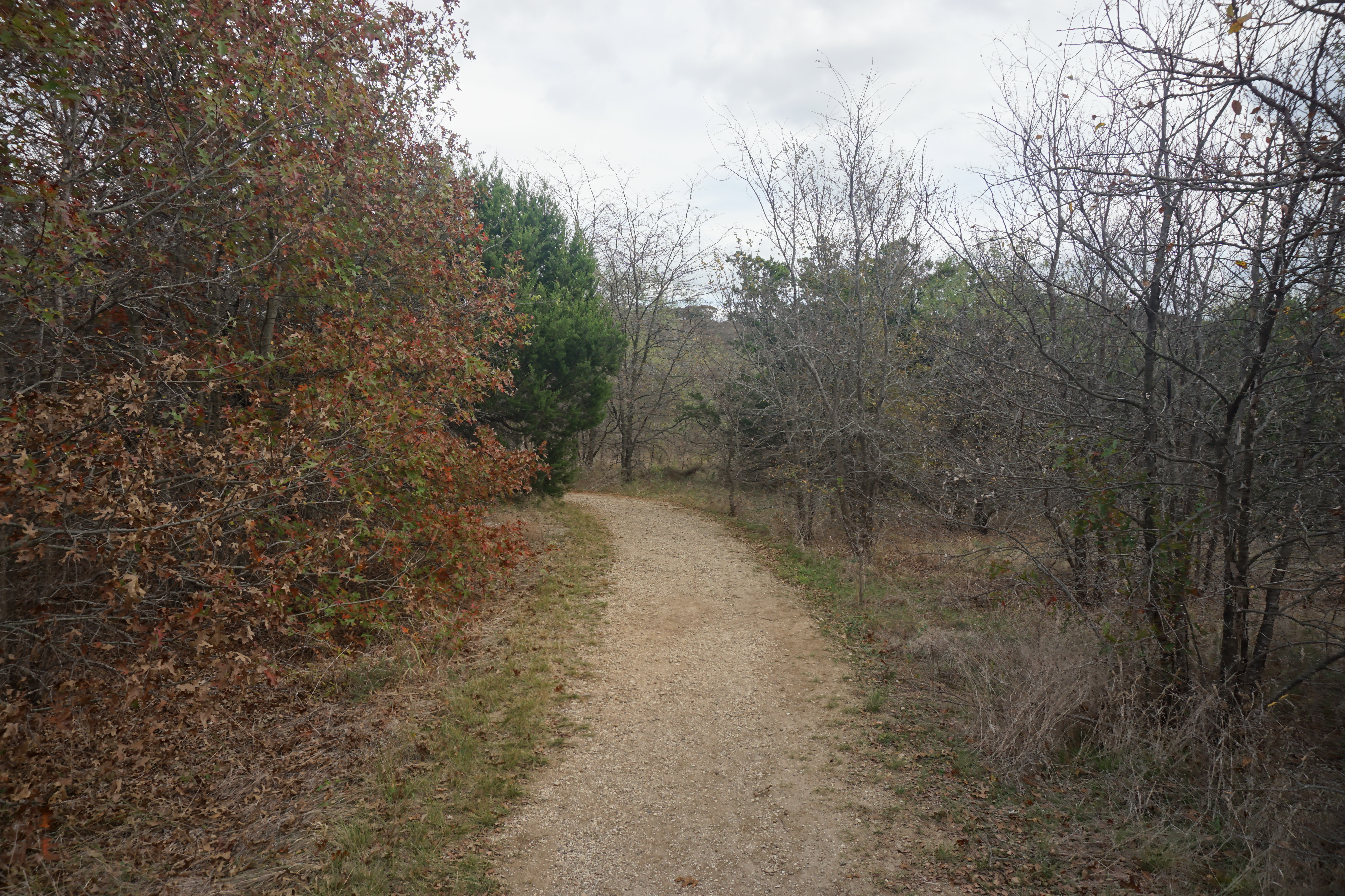 Cedar Hill State Park