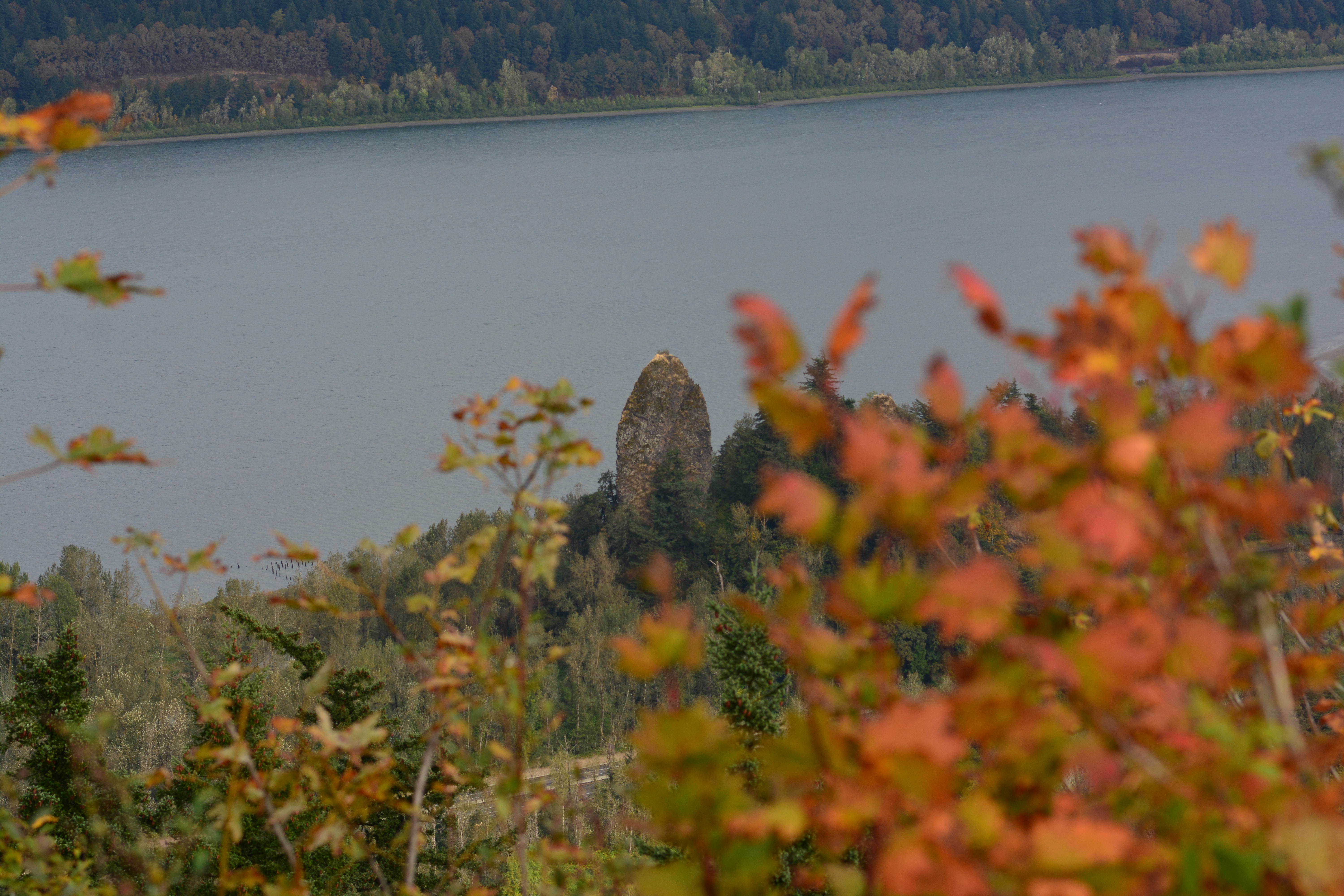 Rooster Rock State Park