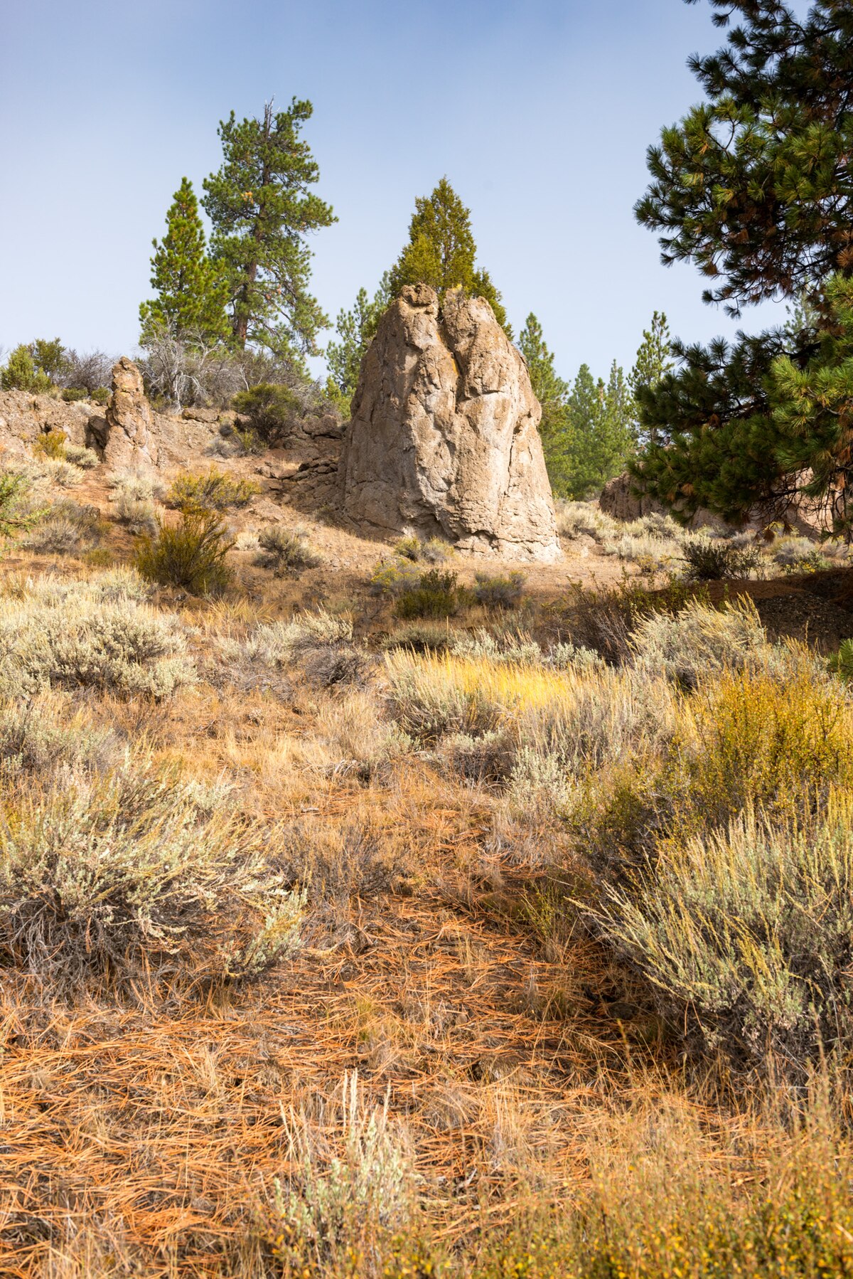 Dairy Point Campground