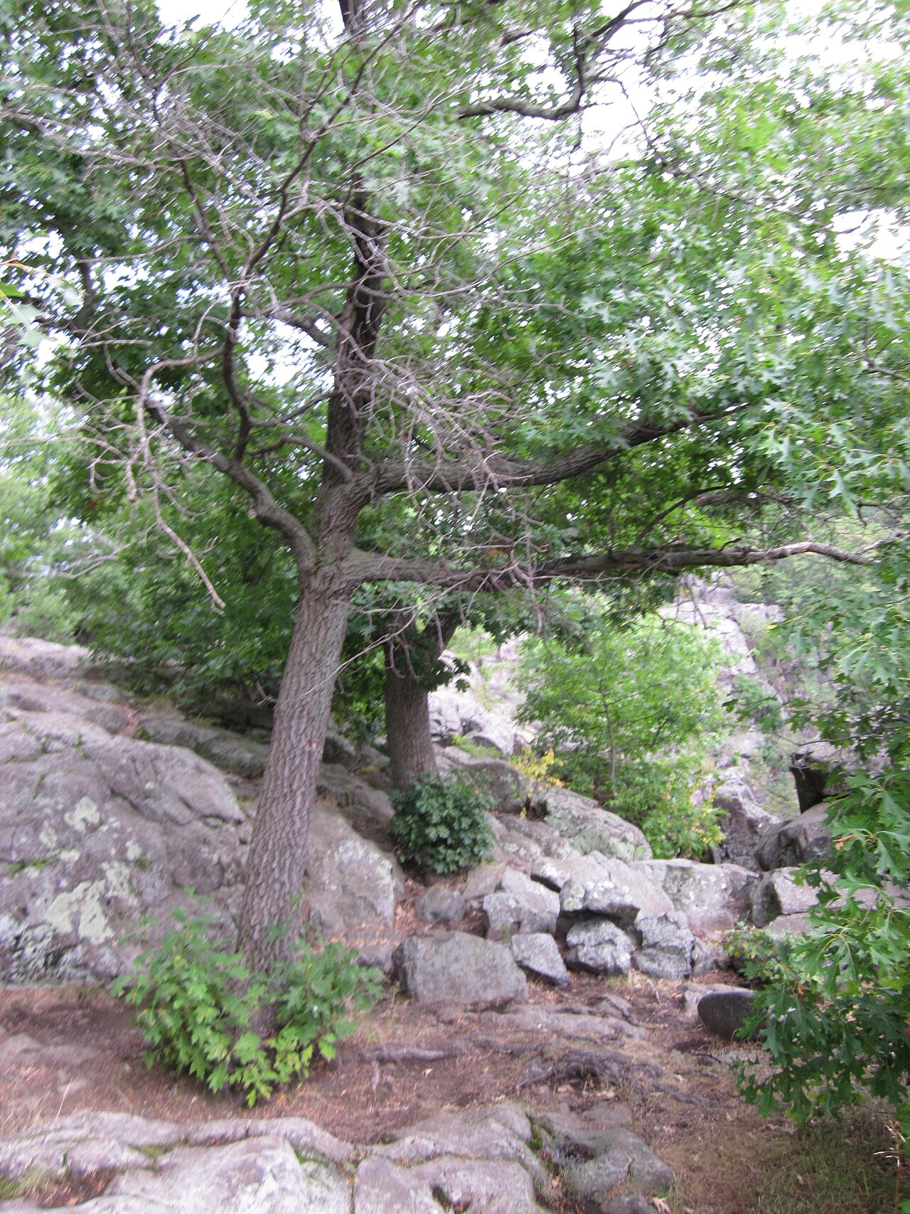 Interstate State Park