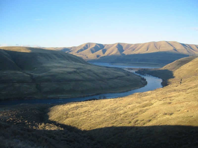 Wikimedia Commons