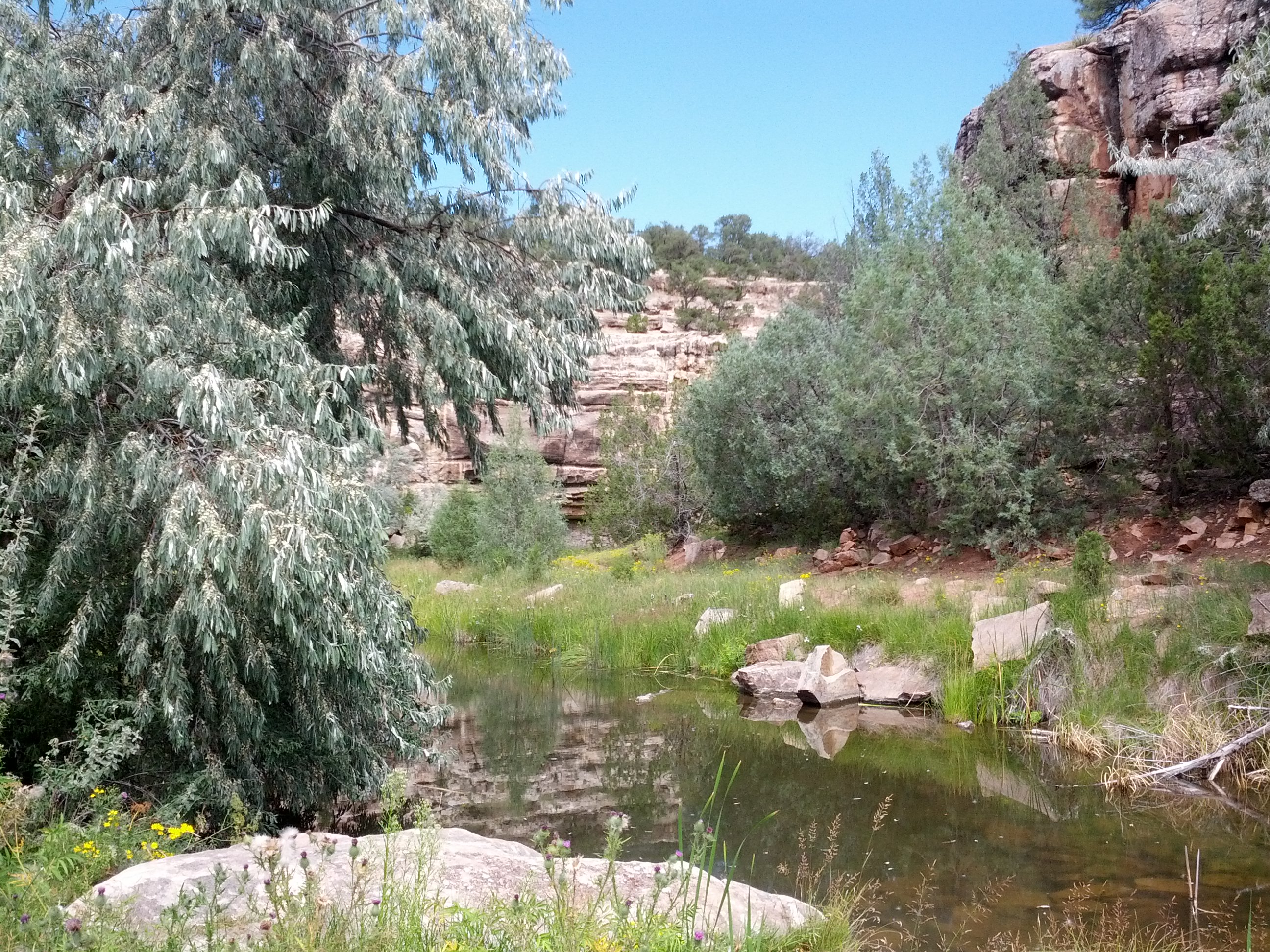 Bluewater Lake