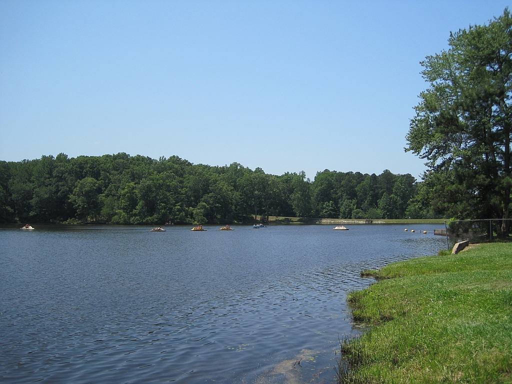 Wikimedia Commons