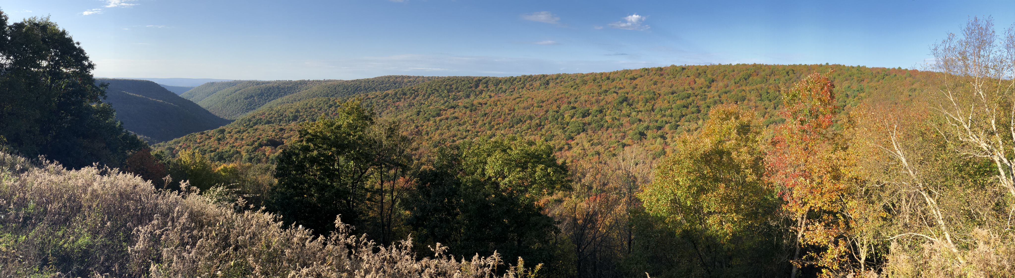 Sproul State Forest