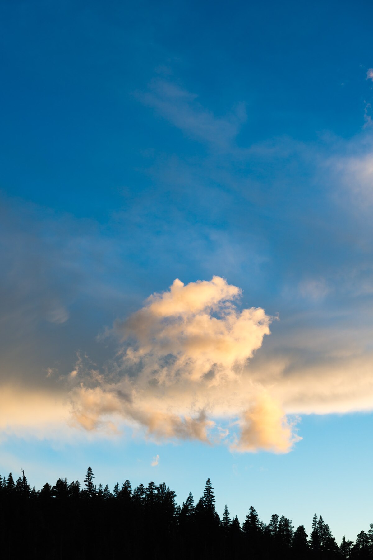 Mud Creek Campground