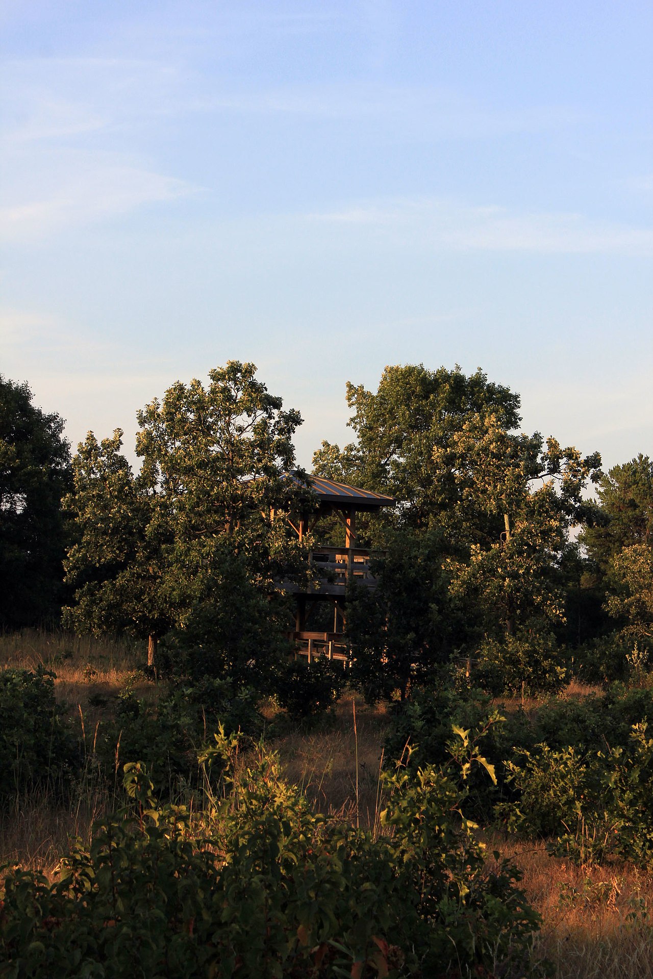 Buckhorn State Park