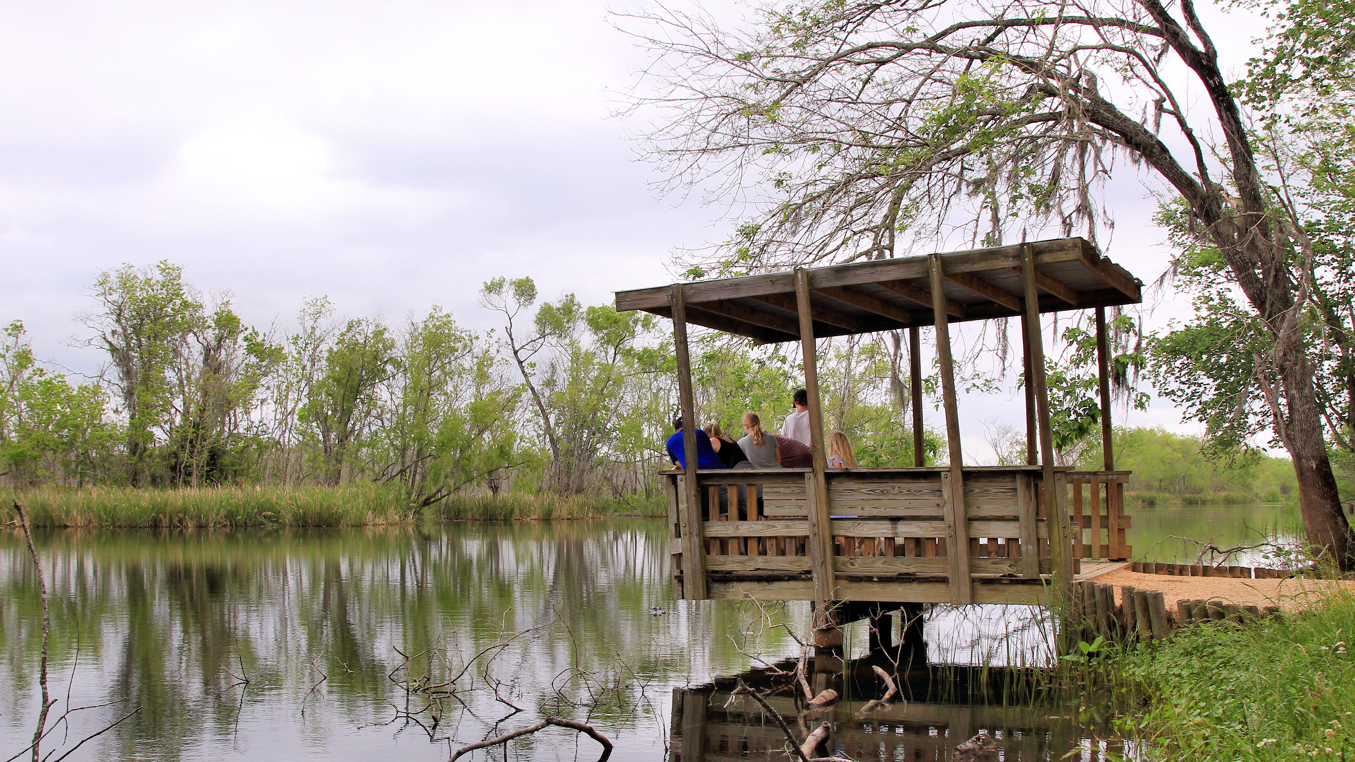 Brazos Bend State Park