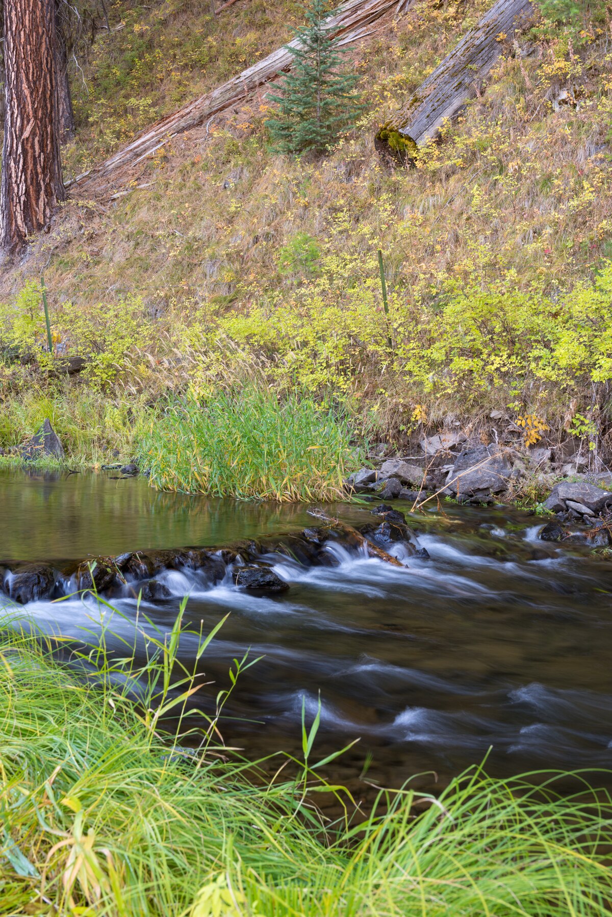 Deerhorn Campground
