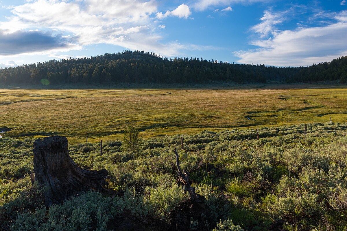 Mud Creek Campground