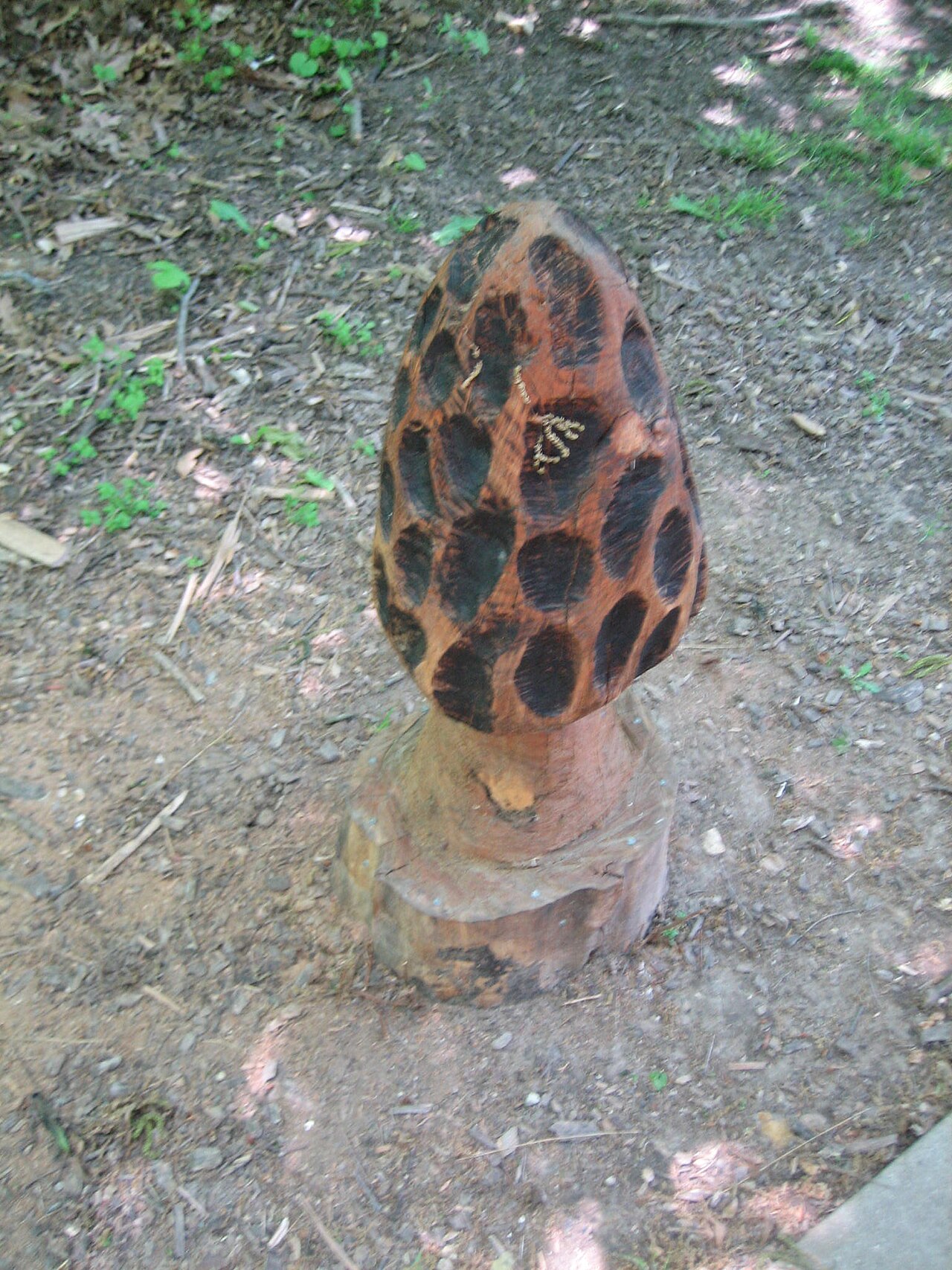 Lowden Campground