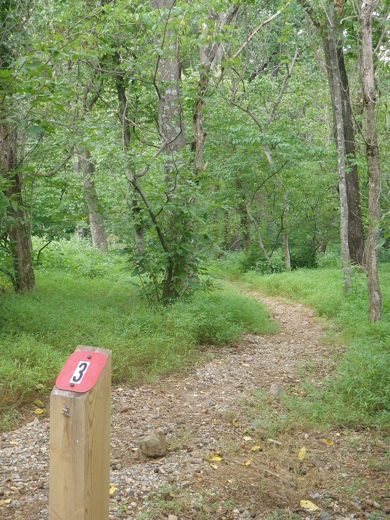 Backcountry Hike-In Campground