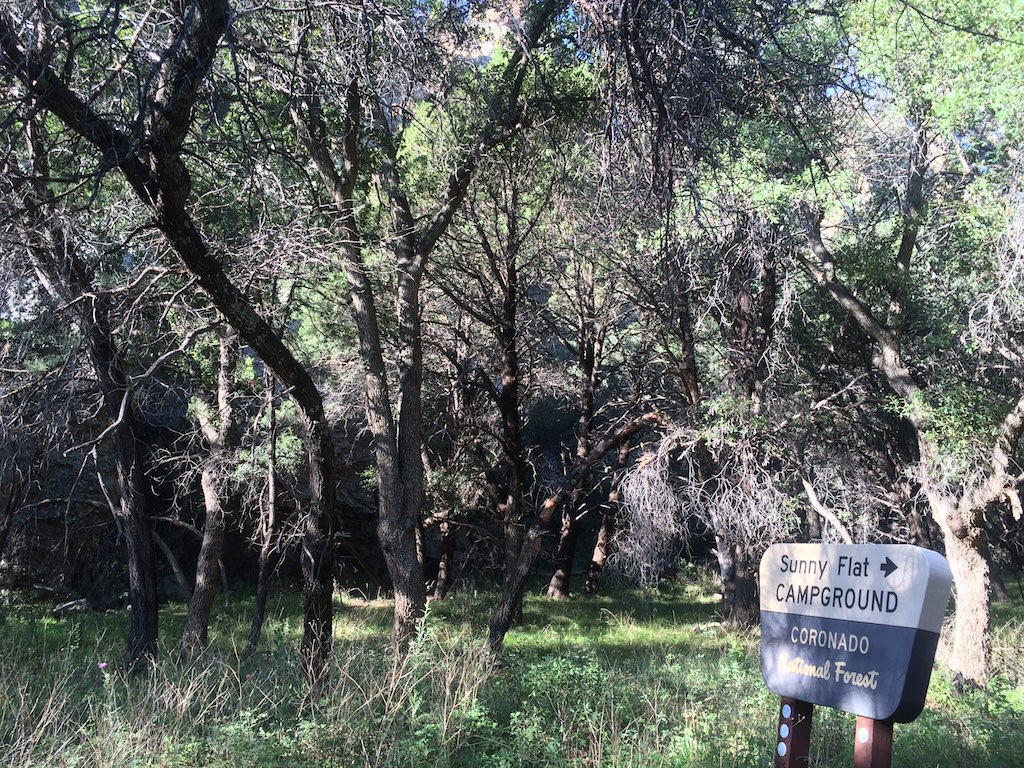 Sunny Flat Campground