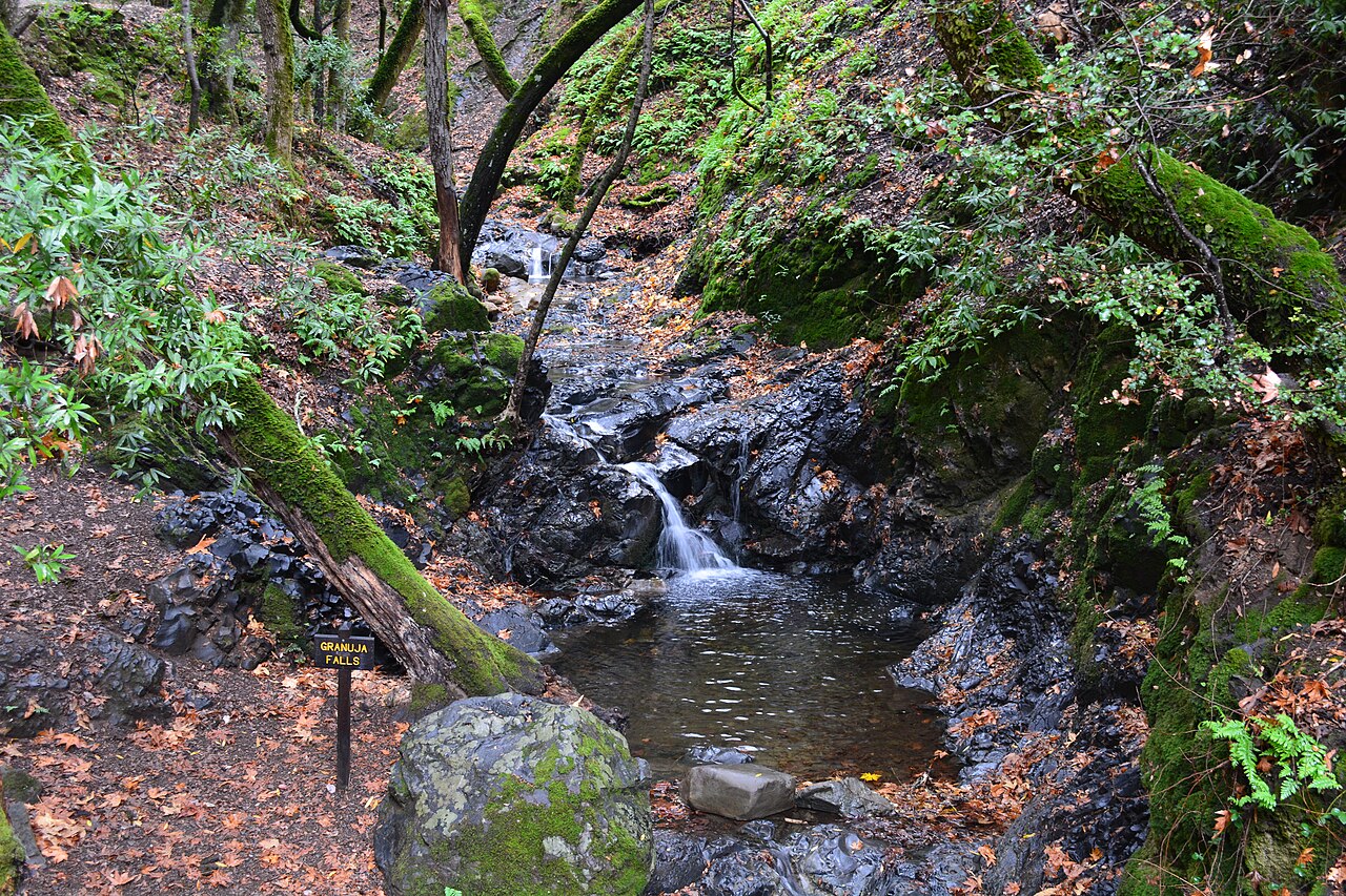 Uvas Canyon