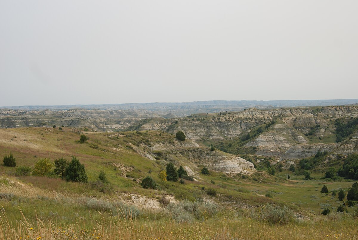 Wikimedia Commons