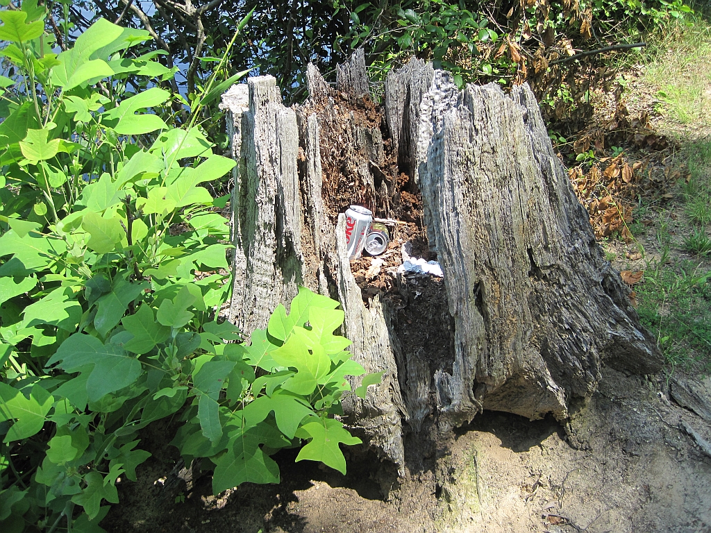Chickasaw State Park