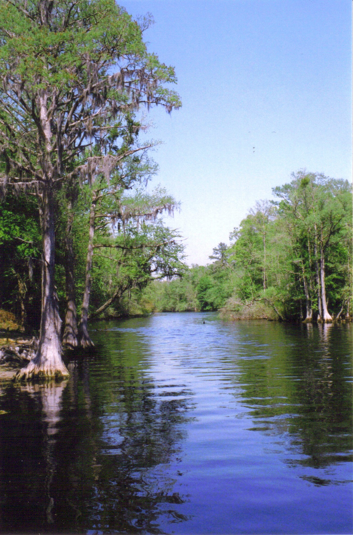 Wikimedia Commons