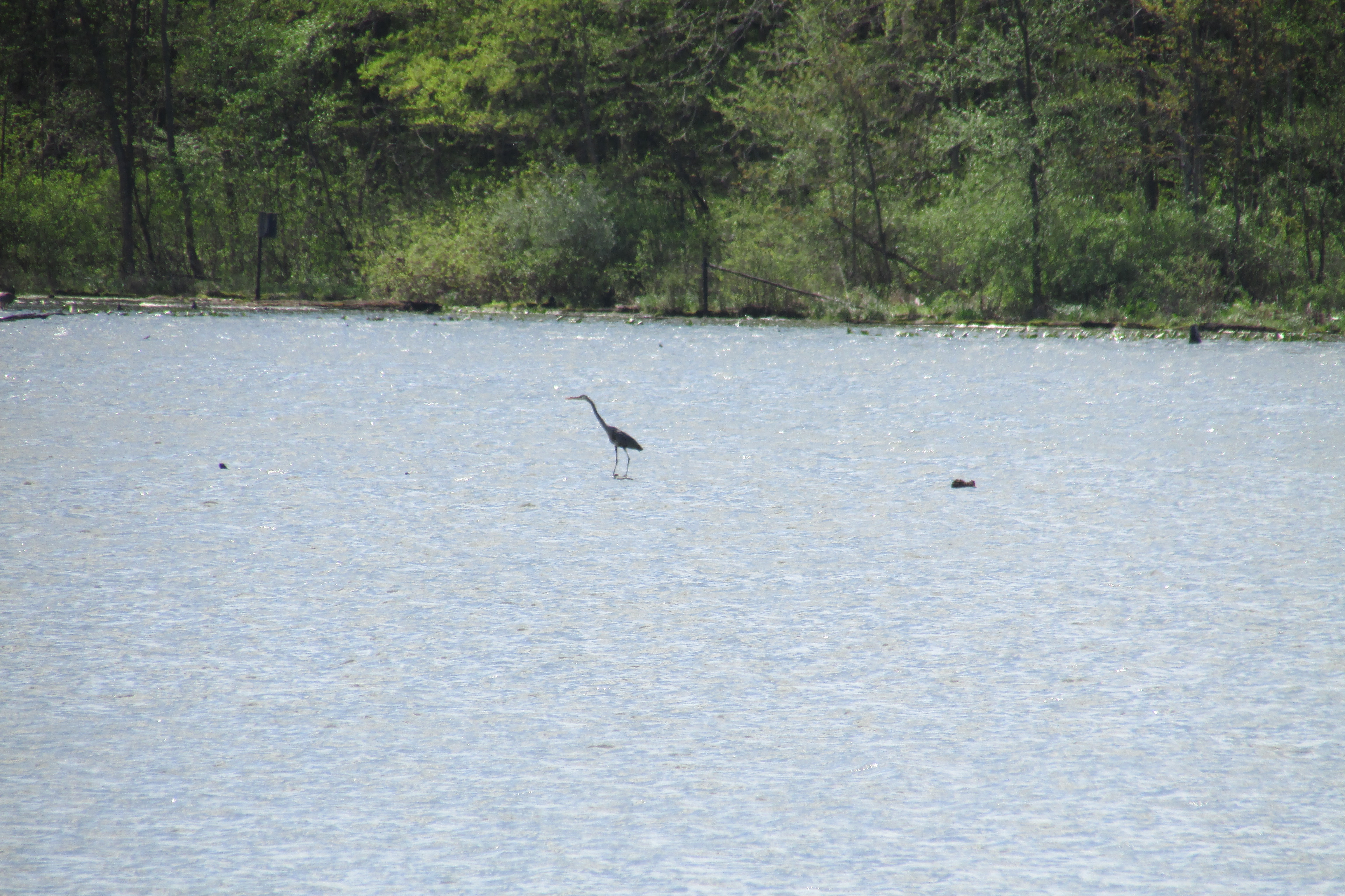 Potato Creek State Park