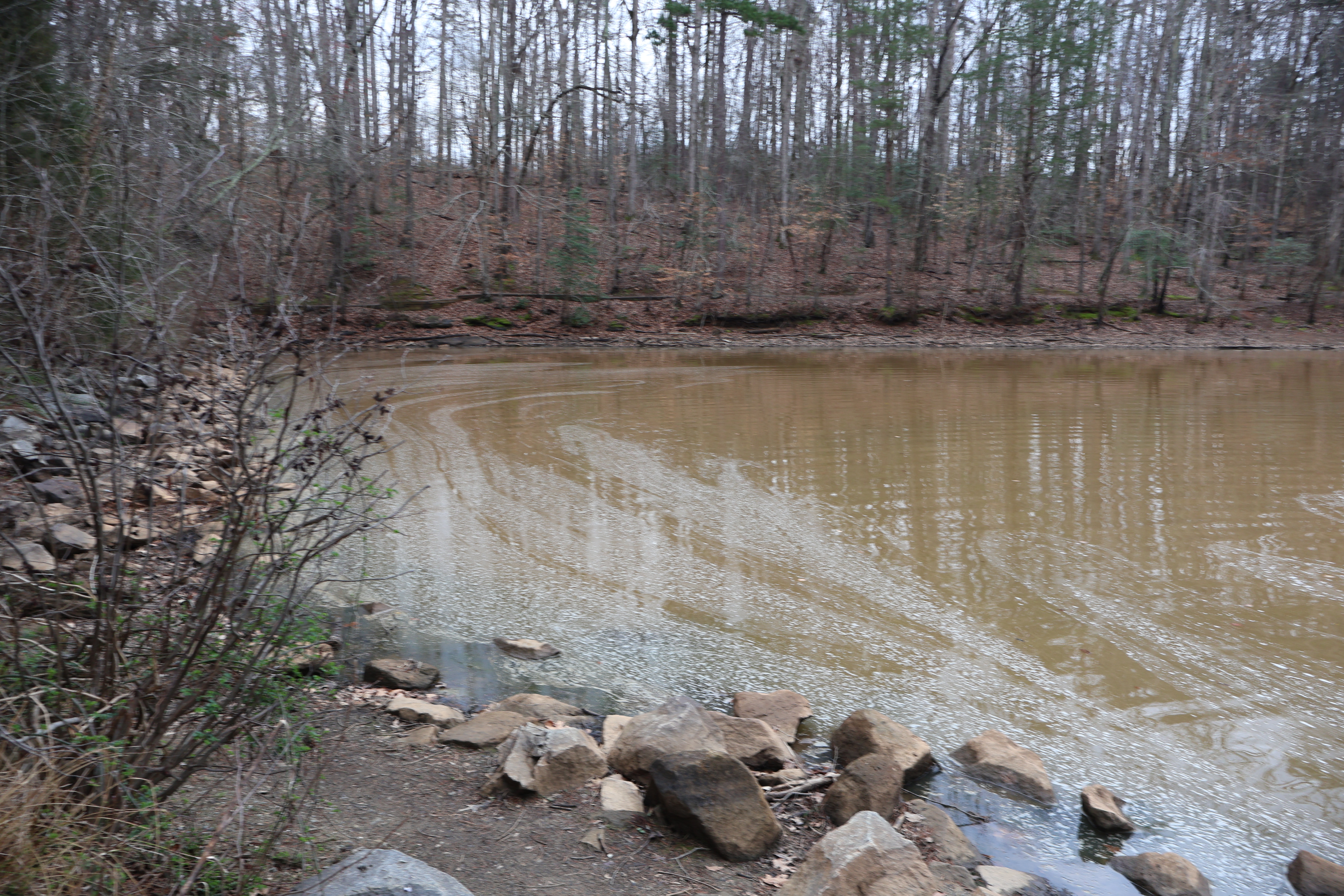 Lake Norman State Park