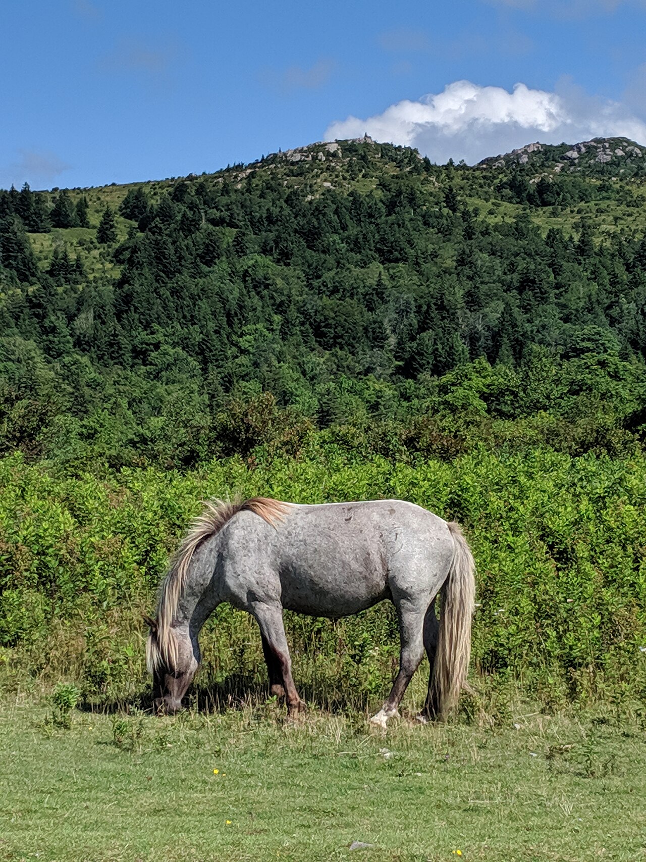 Backpack Parking Campground