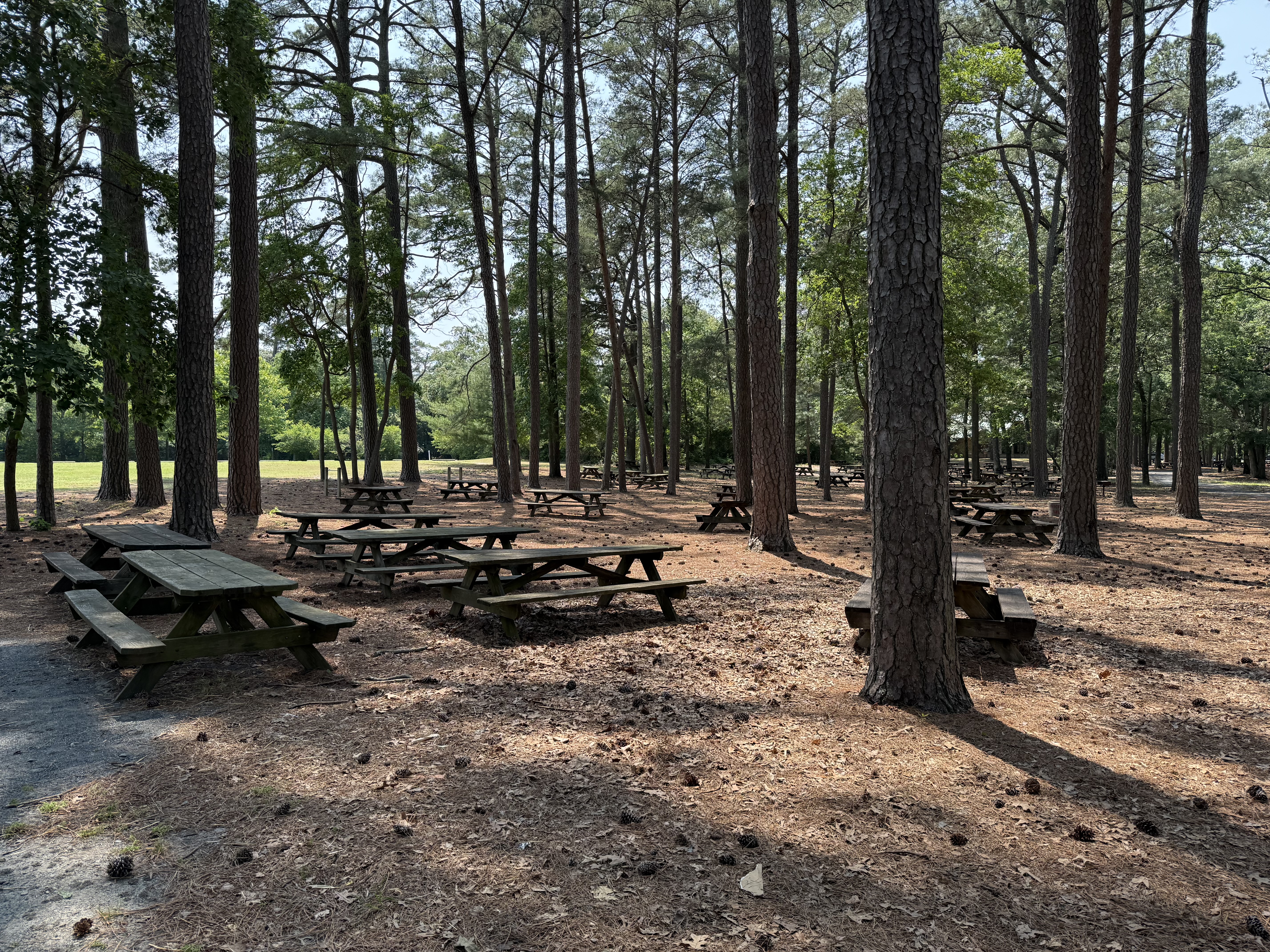 Trap Pond State Park