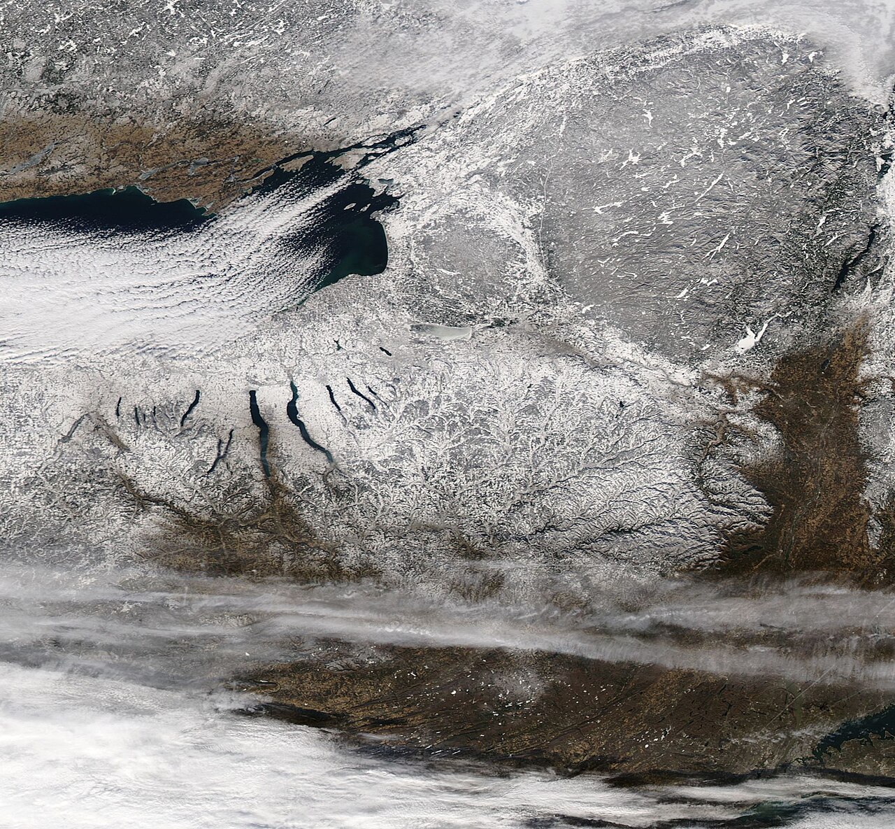 Wikimedia Commons