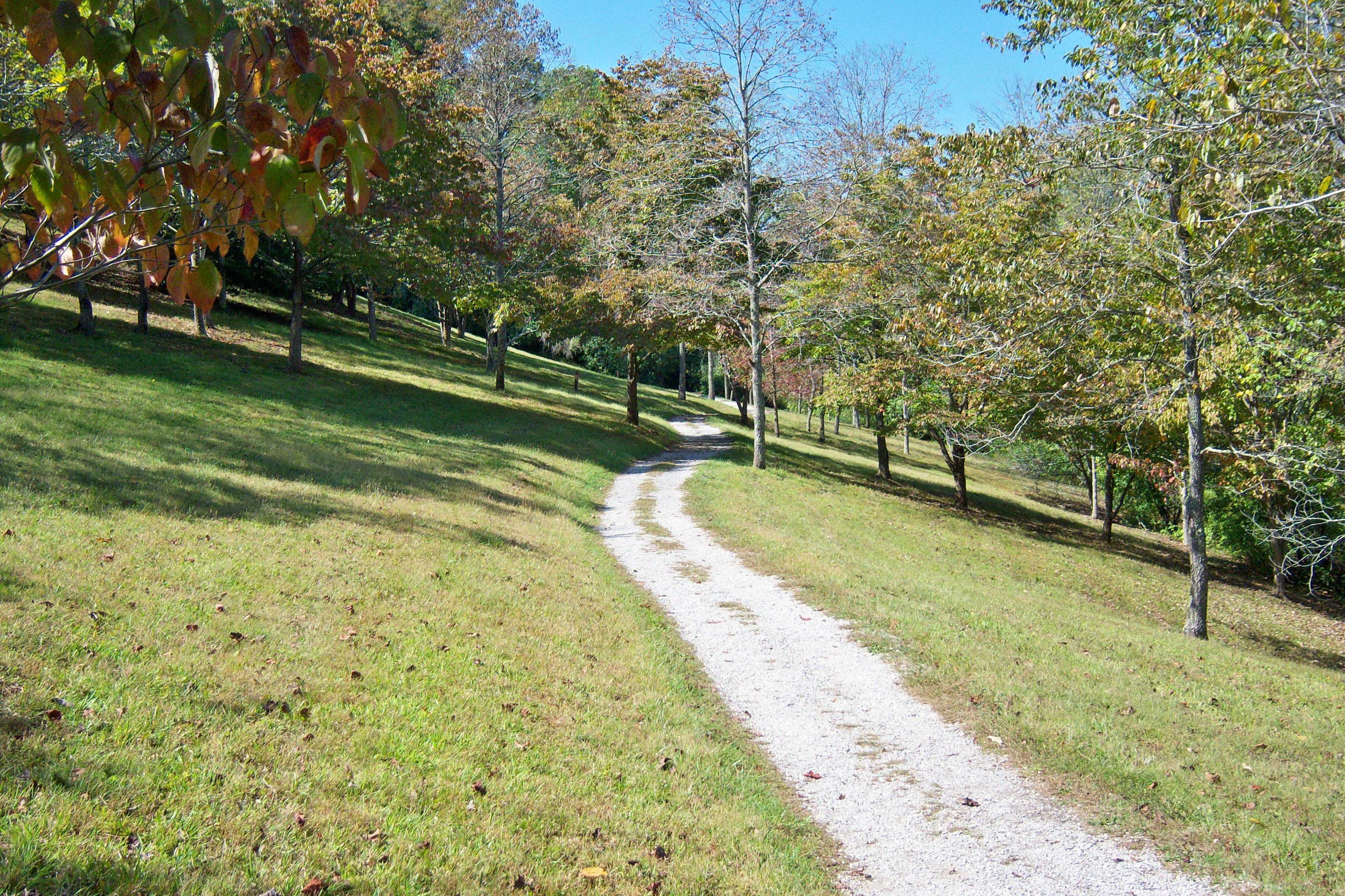 Paintsville Lake State Park