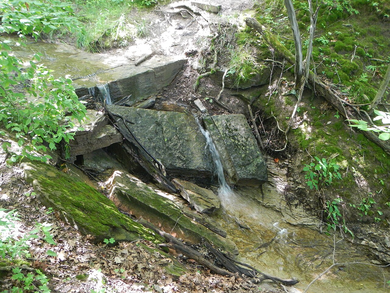 Wikimedia Commons
