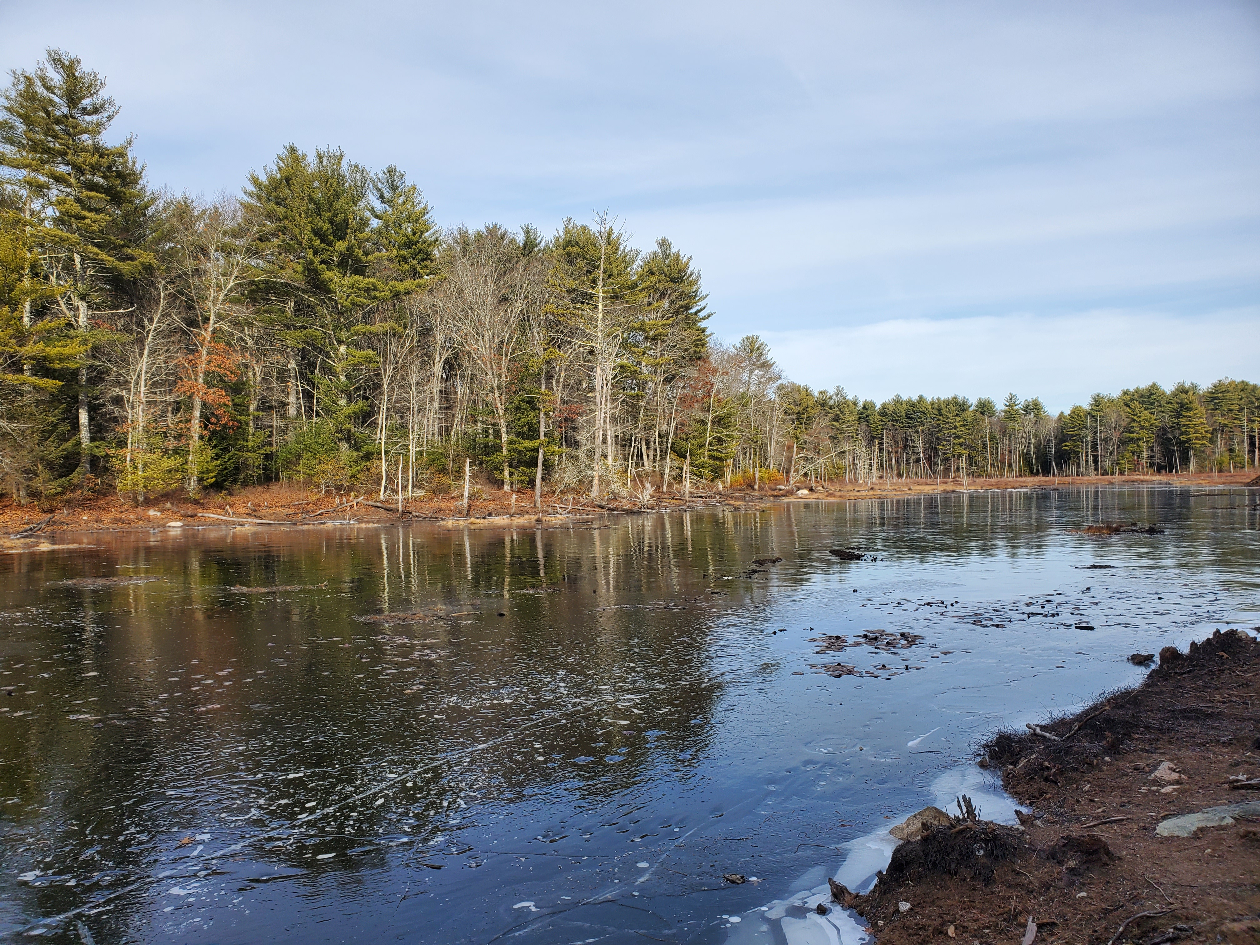 Douglas State Forest