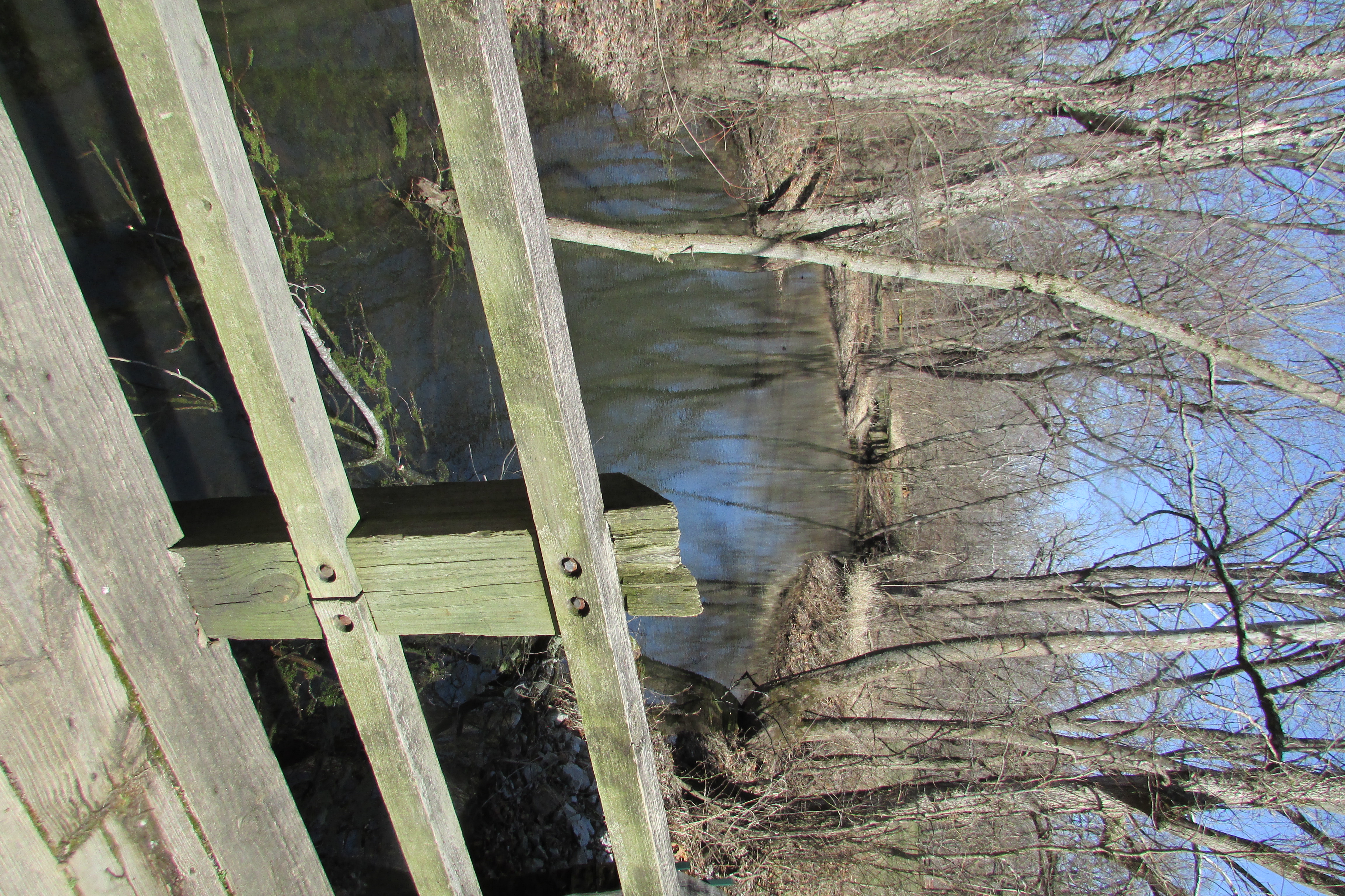 Wikimedia Commons