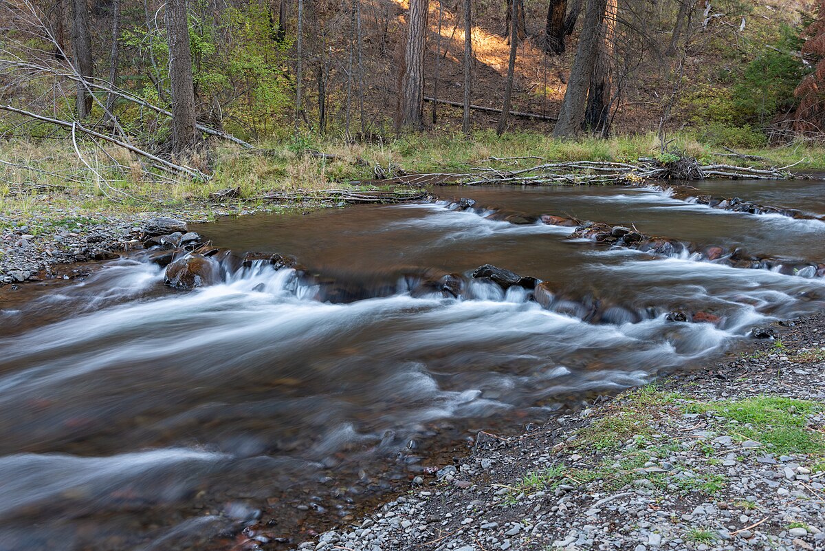 South Fork Campground