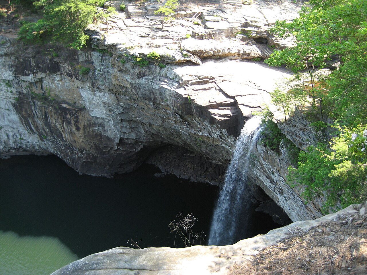 Wikimedia Commons
