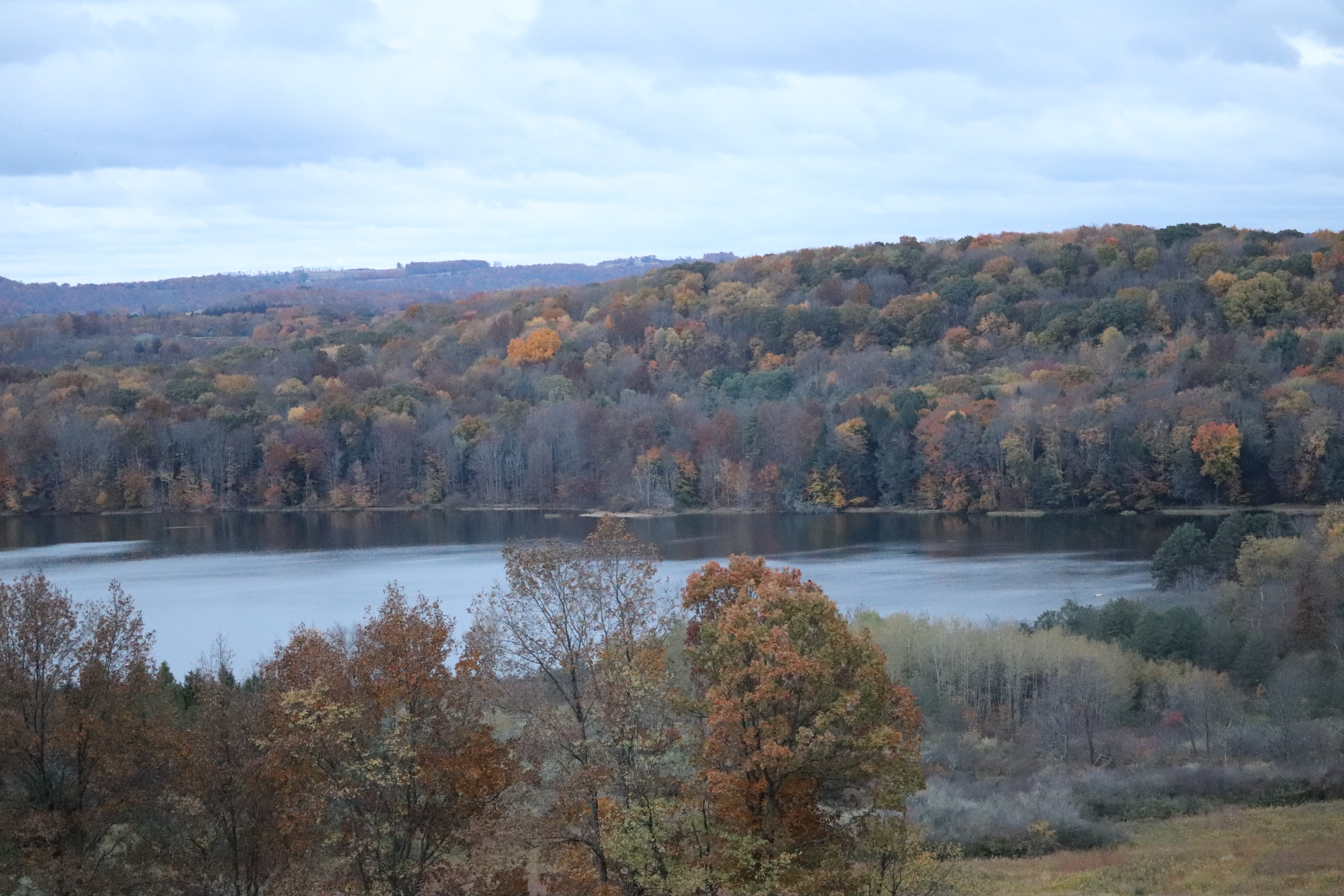 Prince Gallitzin State Park