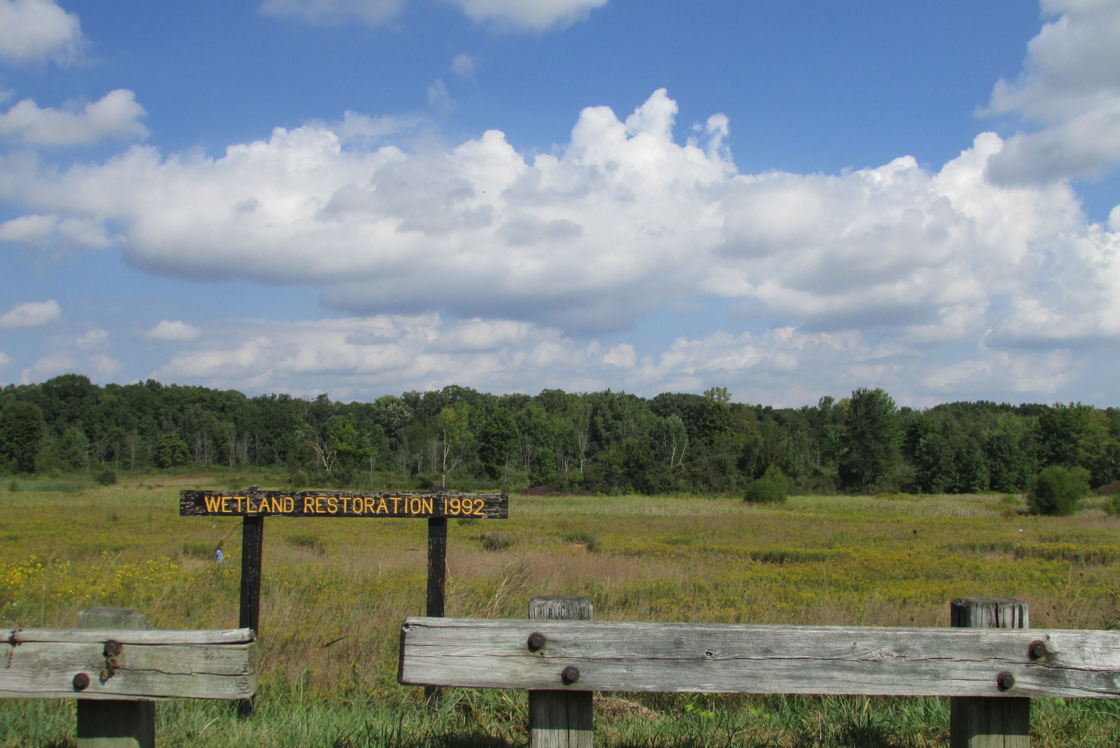 Potato Creek State Park