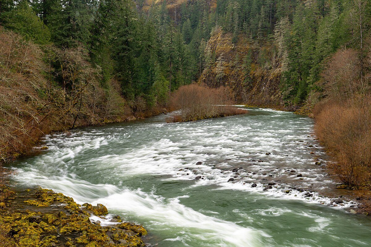 Carter Bridge Campground