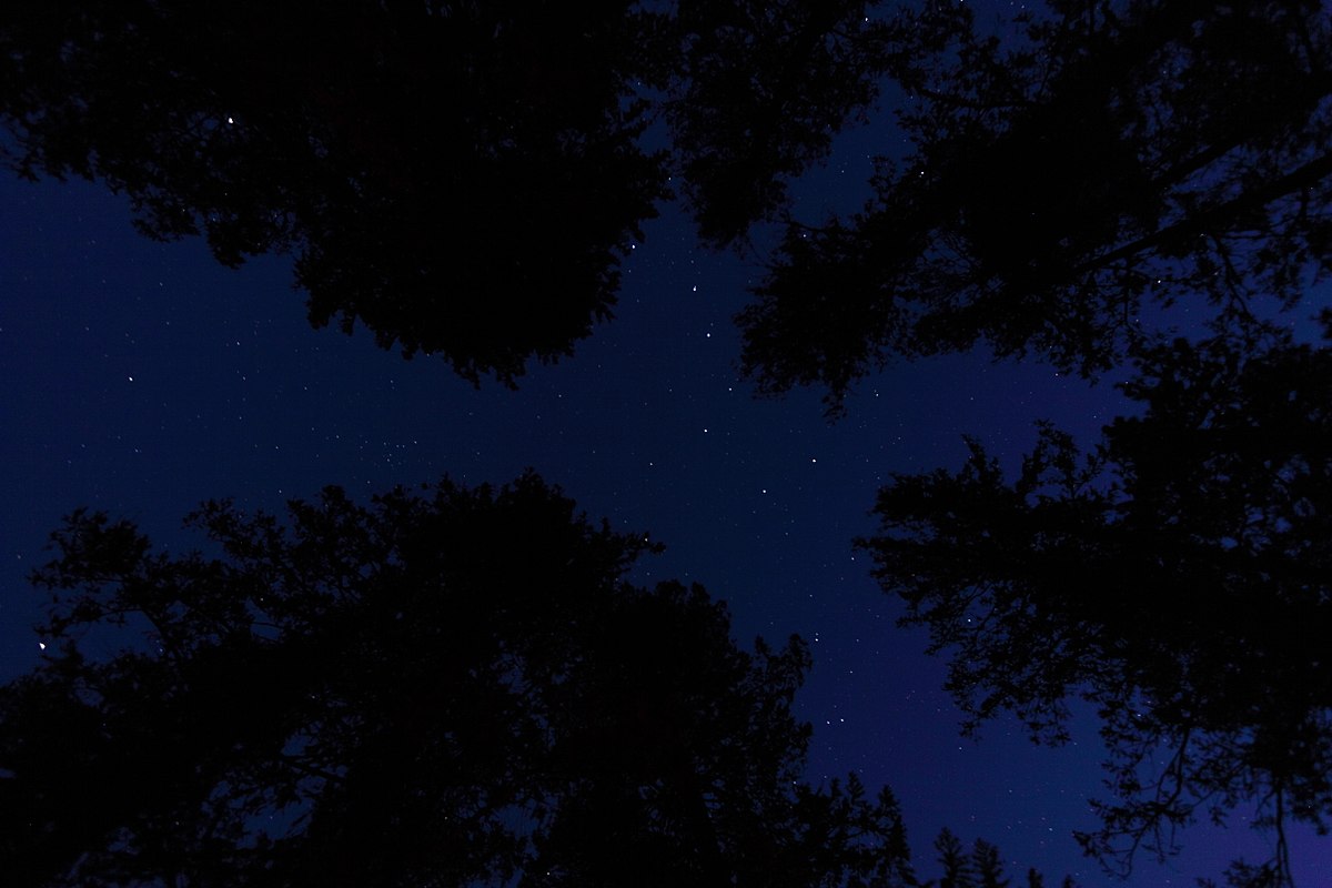 Ballard Campground
