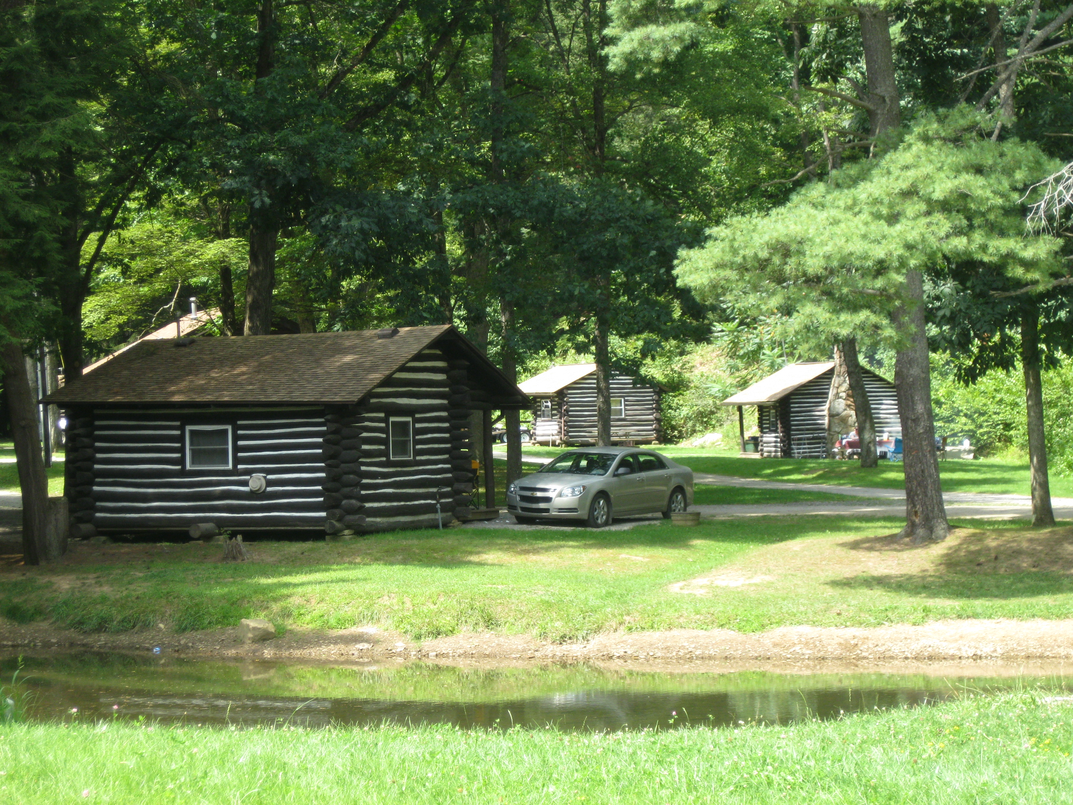 Cook Forest State Park