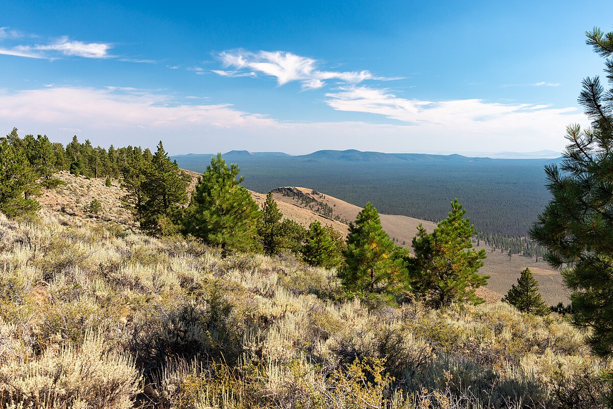 Pine Mountain Campground