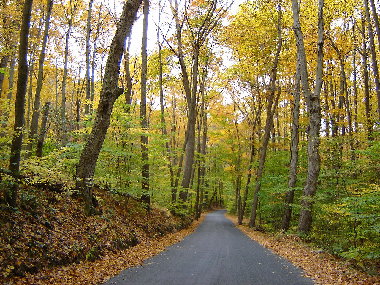 Susquehanna State Park