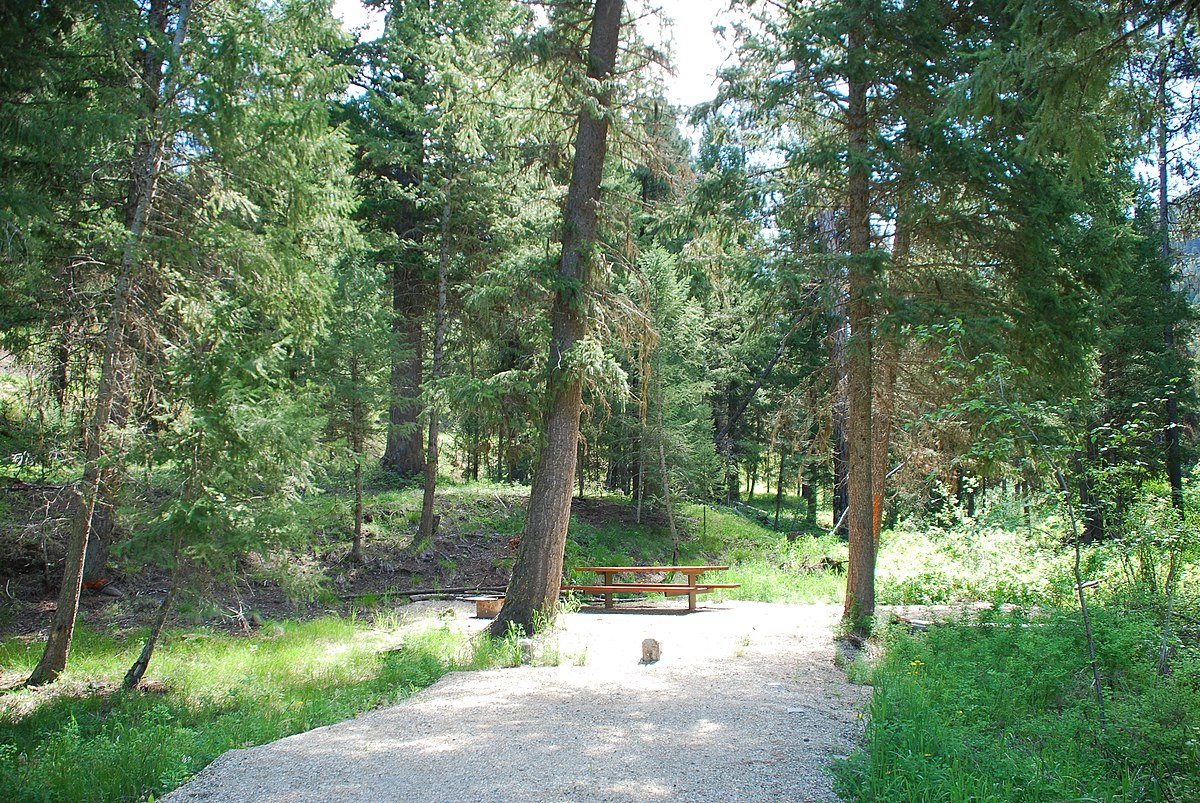 Wikimedia Commons