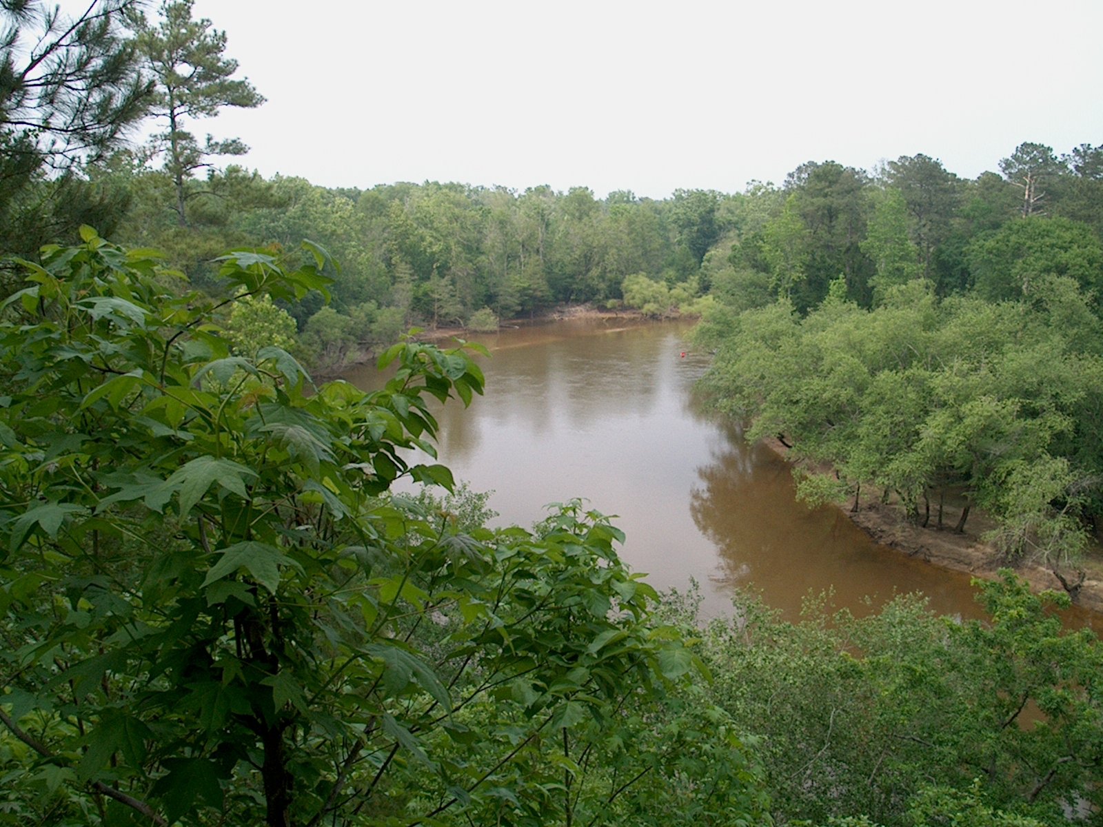 Cliffs Of The Neuse State Park