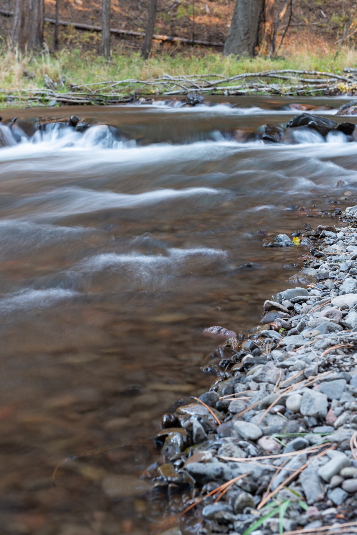 South Fork Campground