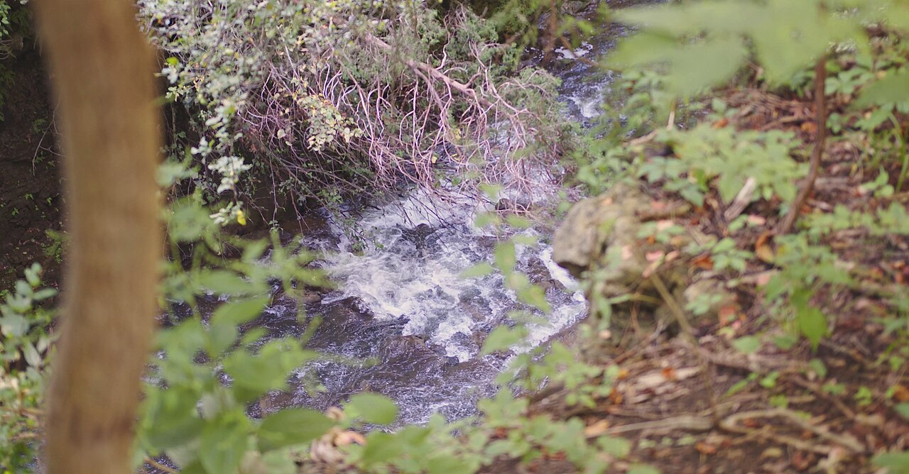 John Bryan Group Campground