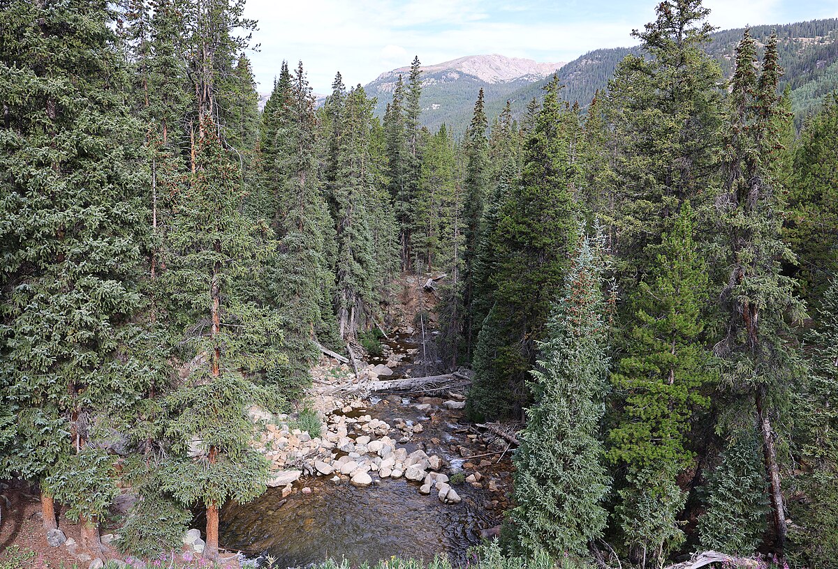 Lost Man Campground