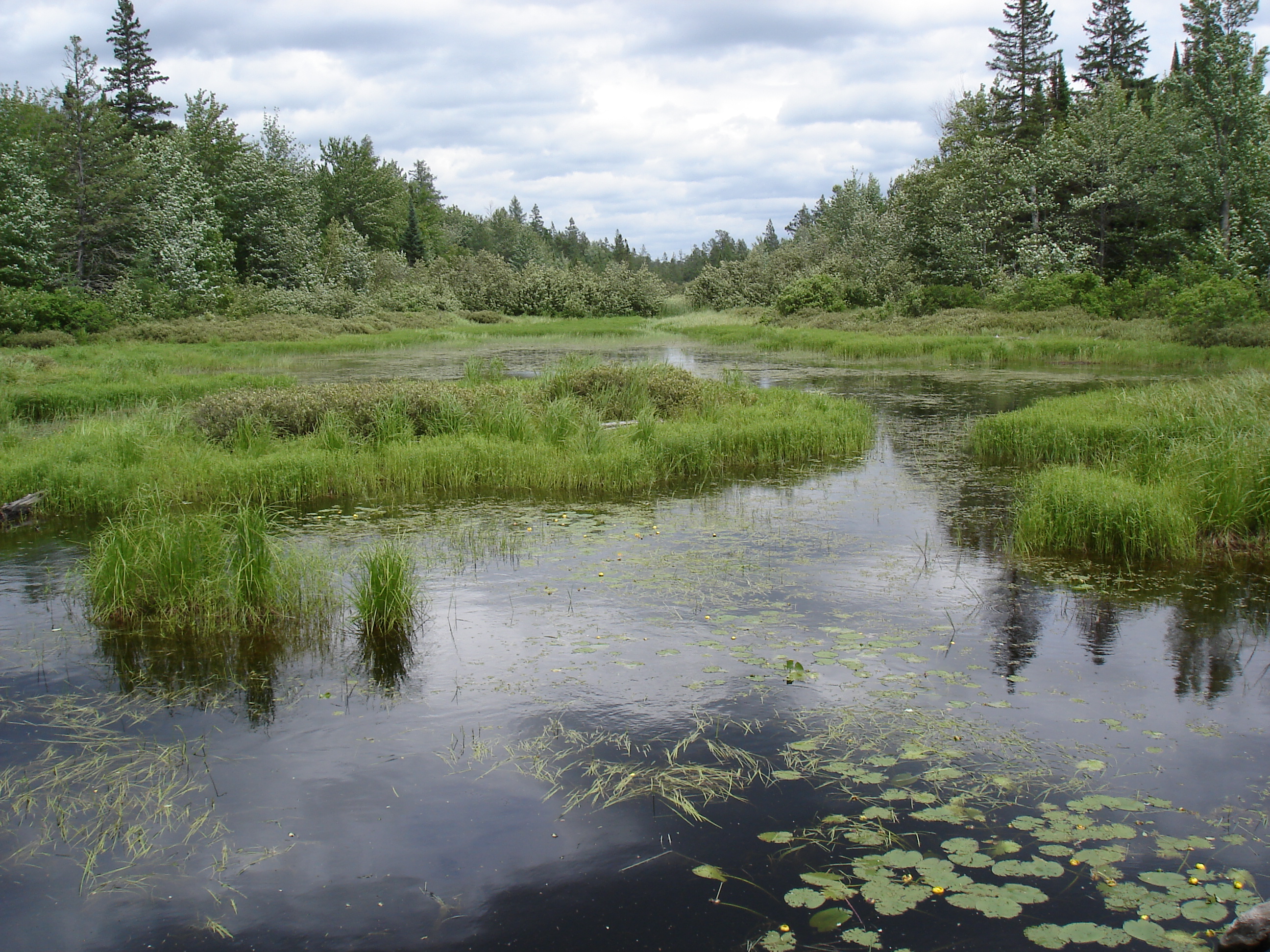 Burned Dam Campground