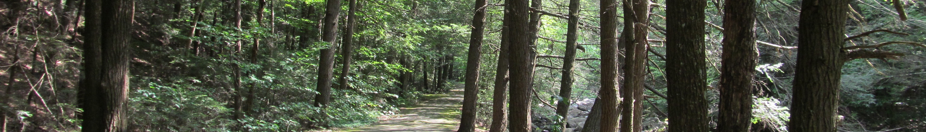 Granville State Forest