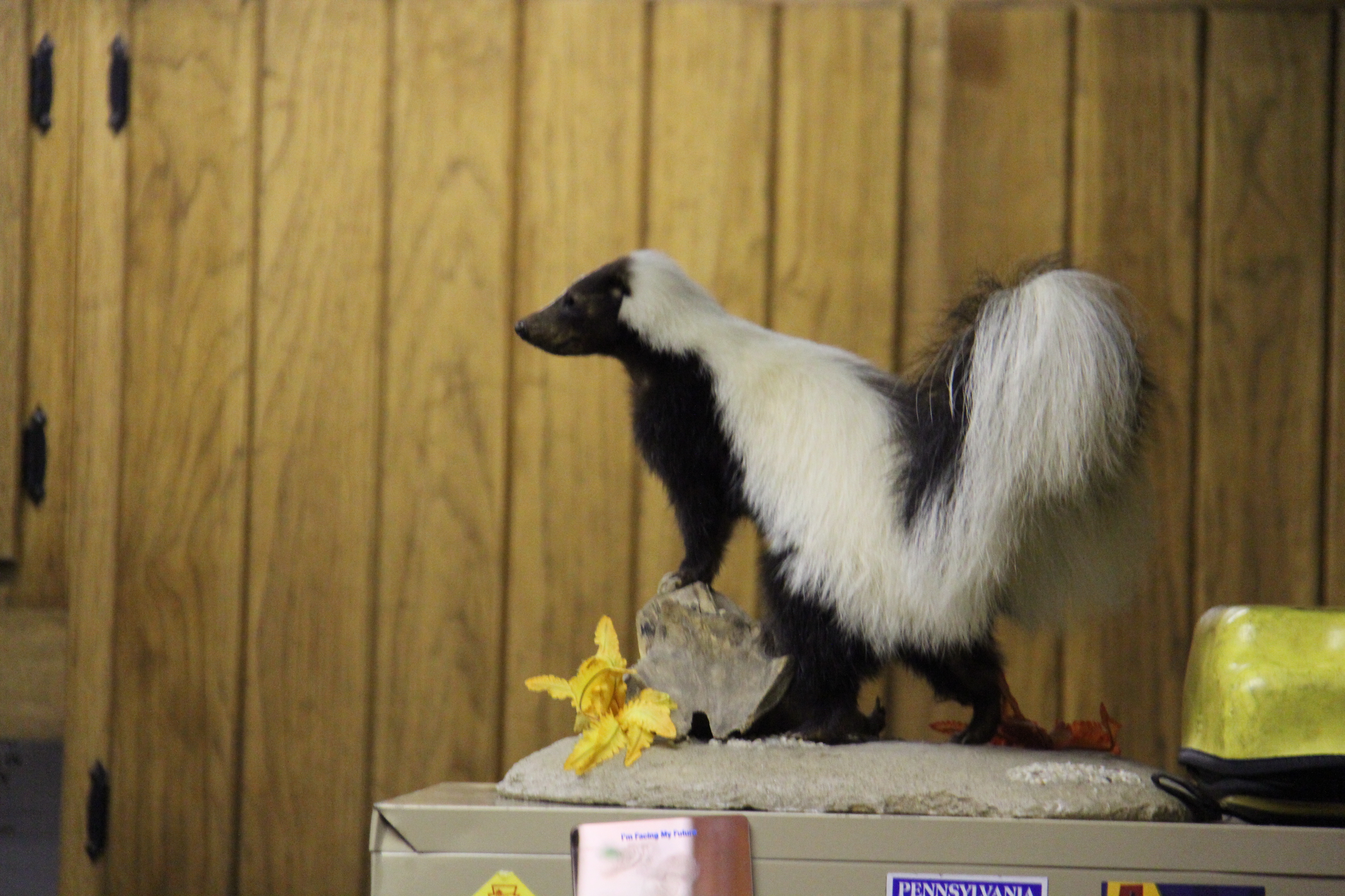 Laurel Hill State Park